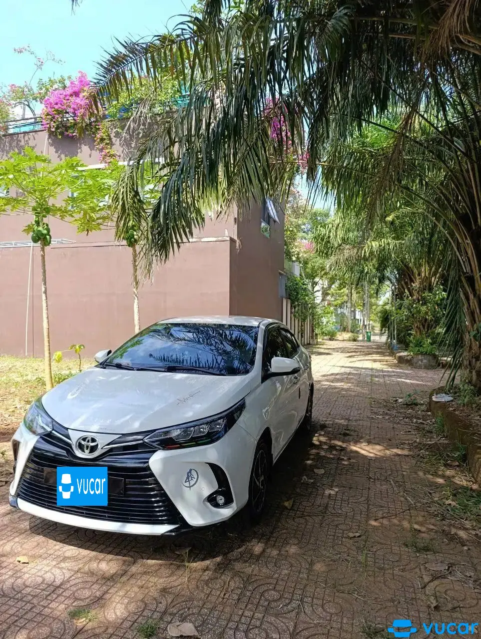 Toyota Vios G 2021