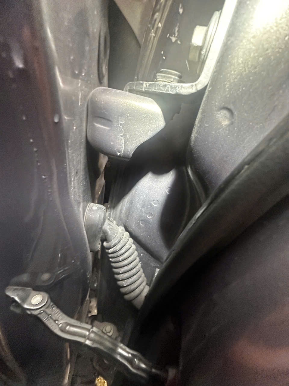 Ford EcoSport Titanium 1.5 2019 - Gầm & khung xe 1
