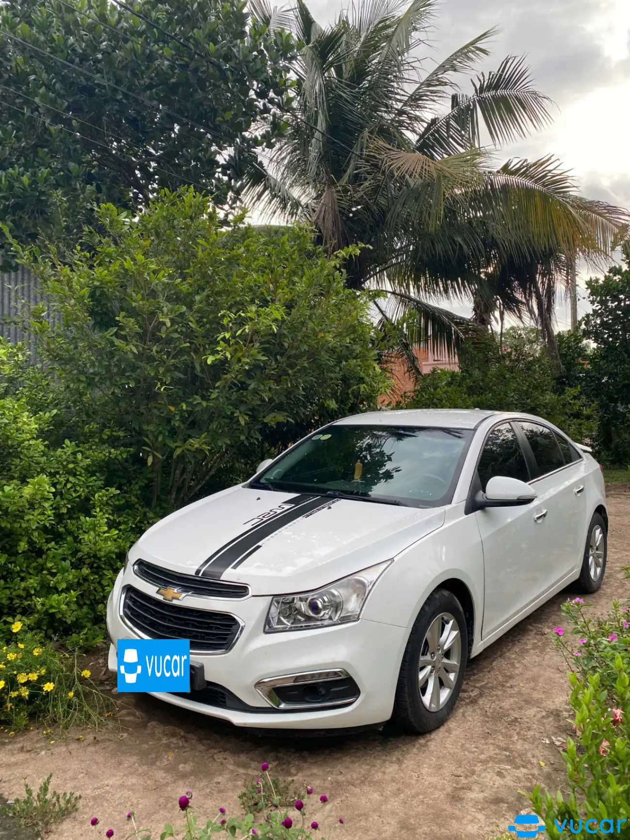 Chevrolet Cruze 1.6 MT 2016