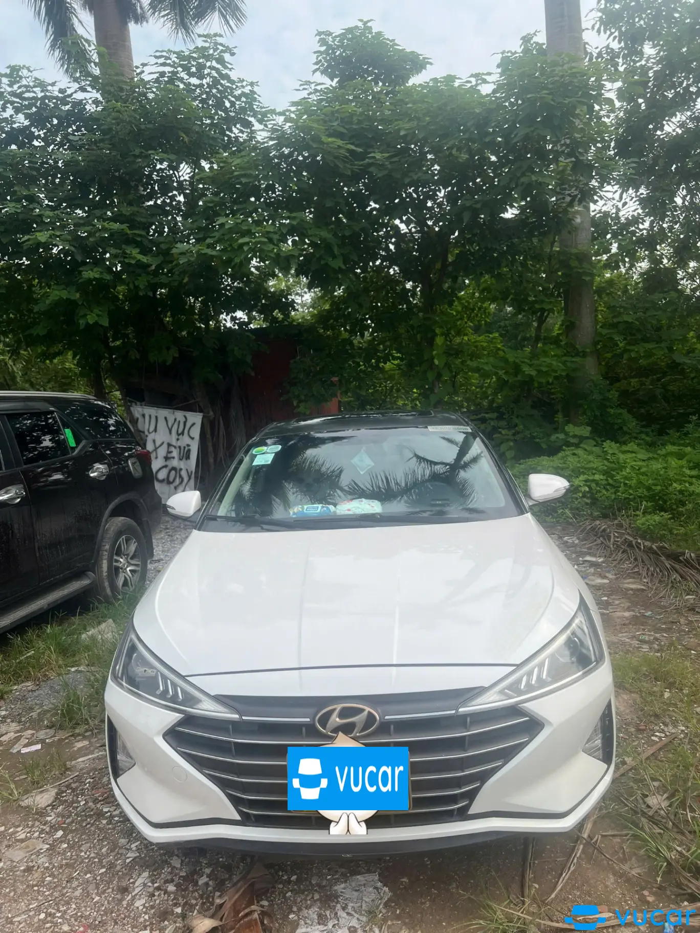 Elantra 2019