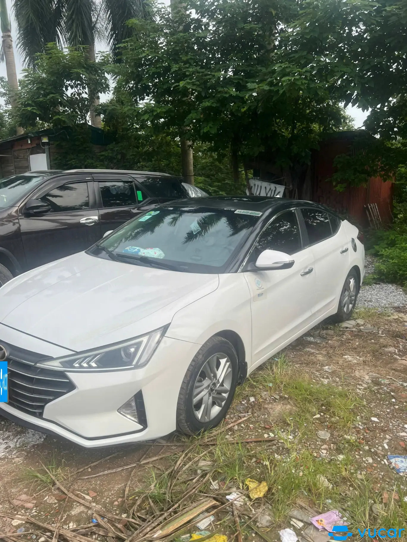 Elantra 2019 - Ngoại thất 3