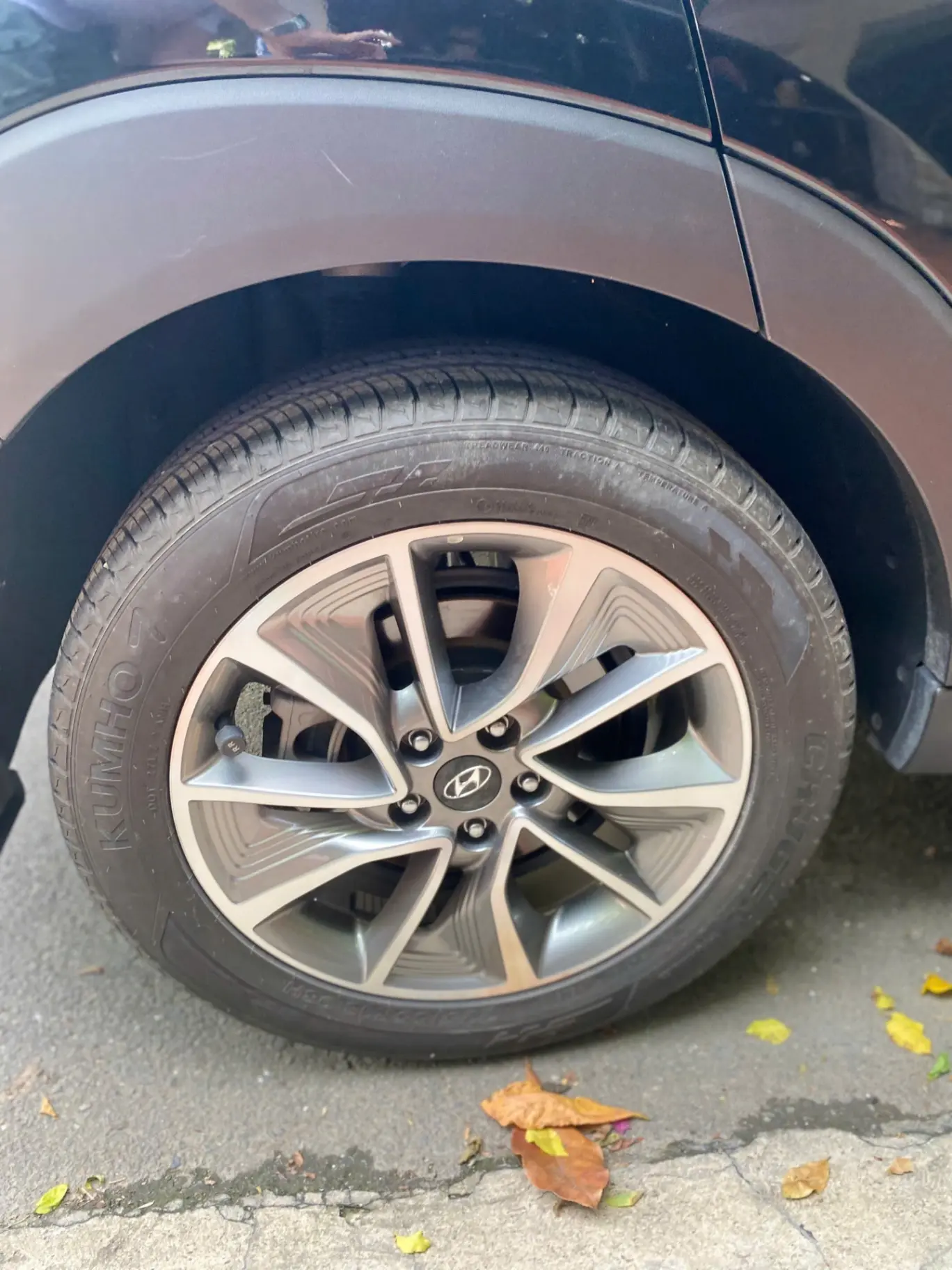 Hyundai Tucson Đặc biệt 2.0 máy xăng 2019 - Ngoại thất 6