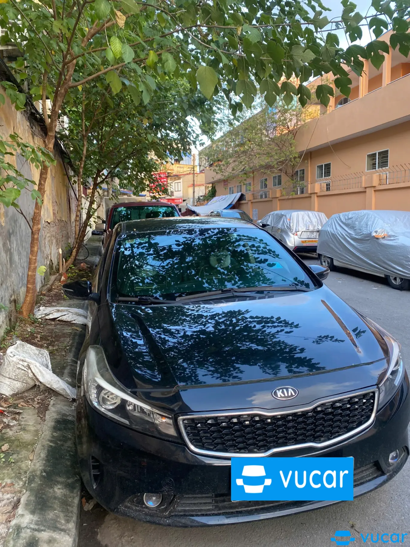 Kia Cerato 1.6 MT 2016
