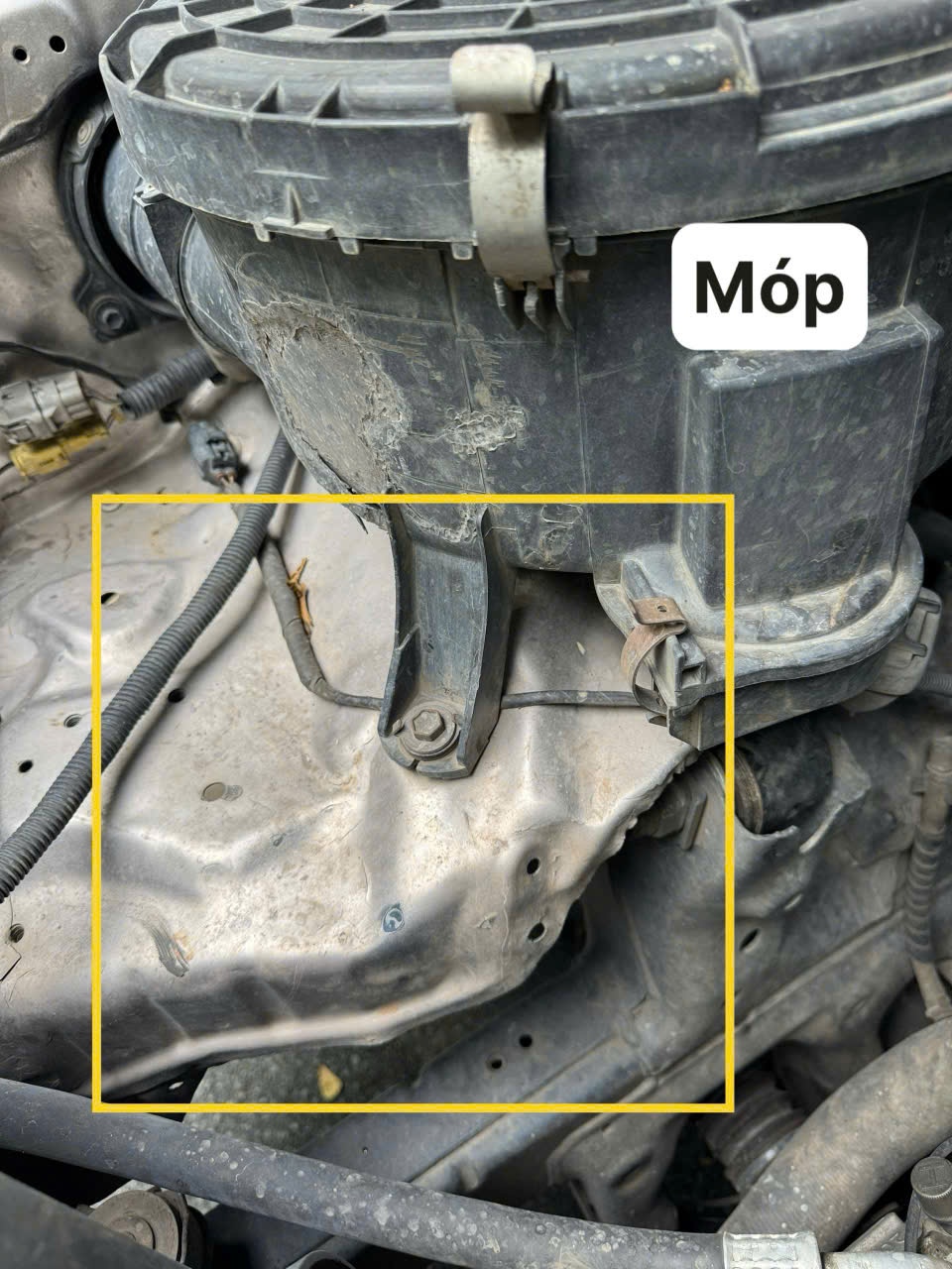 Toyota Land Cruiser 2001 - Khoang động cơ 1