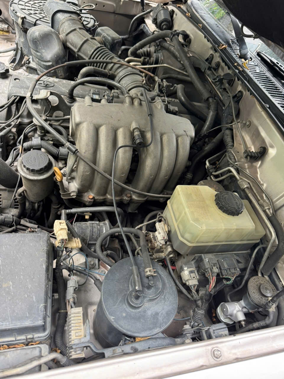 Toyota Land Cruiser 2001 - Khoang động cơ 6