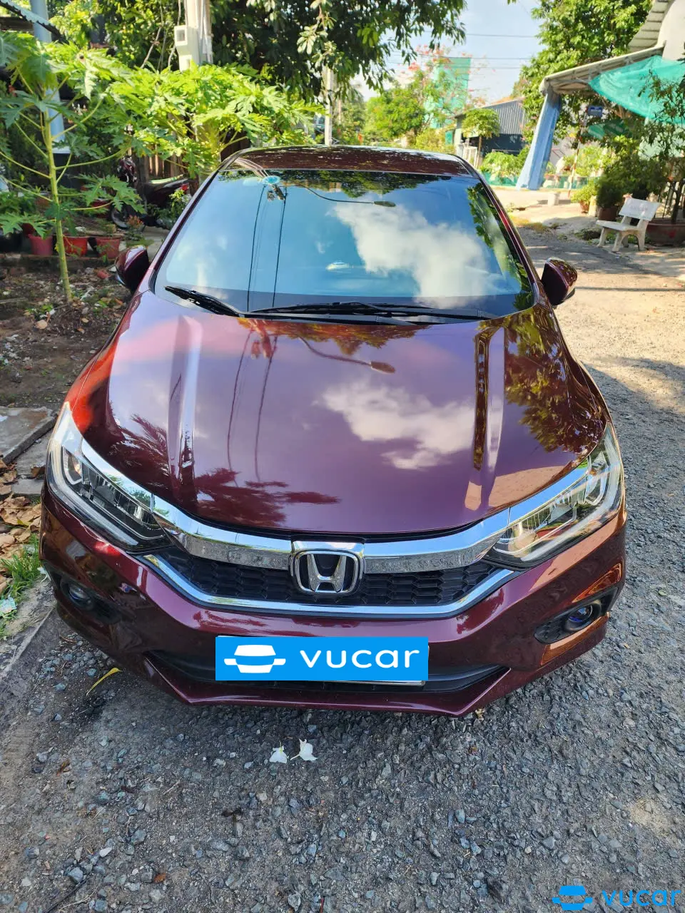 Honda city top 2019