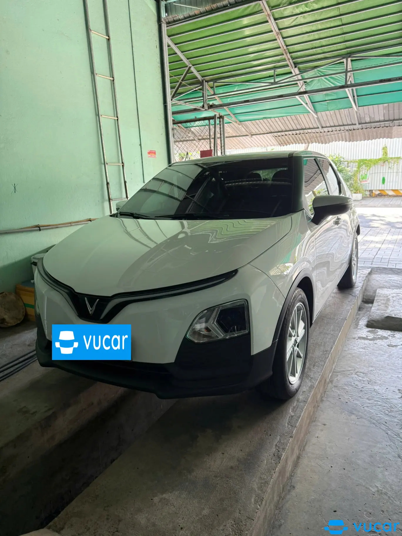 VF5 Plus 2024