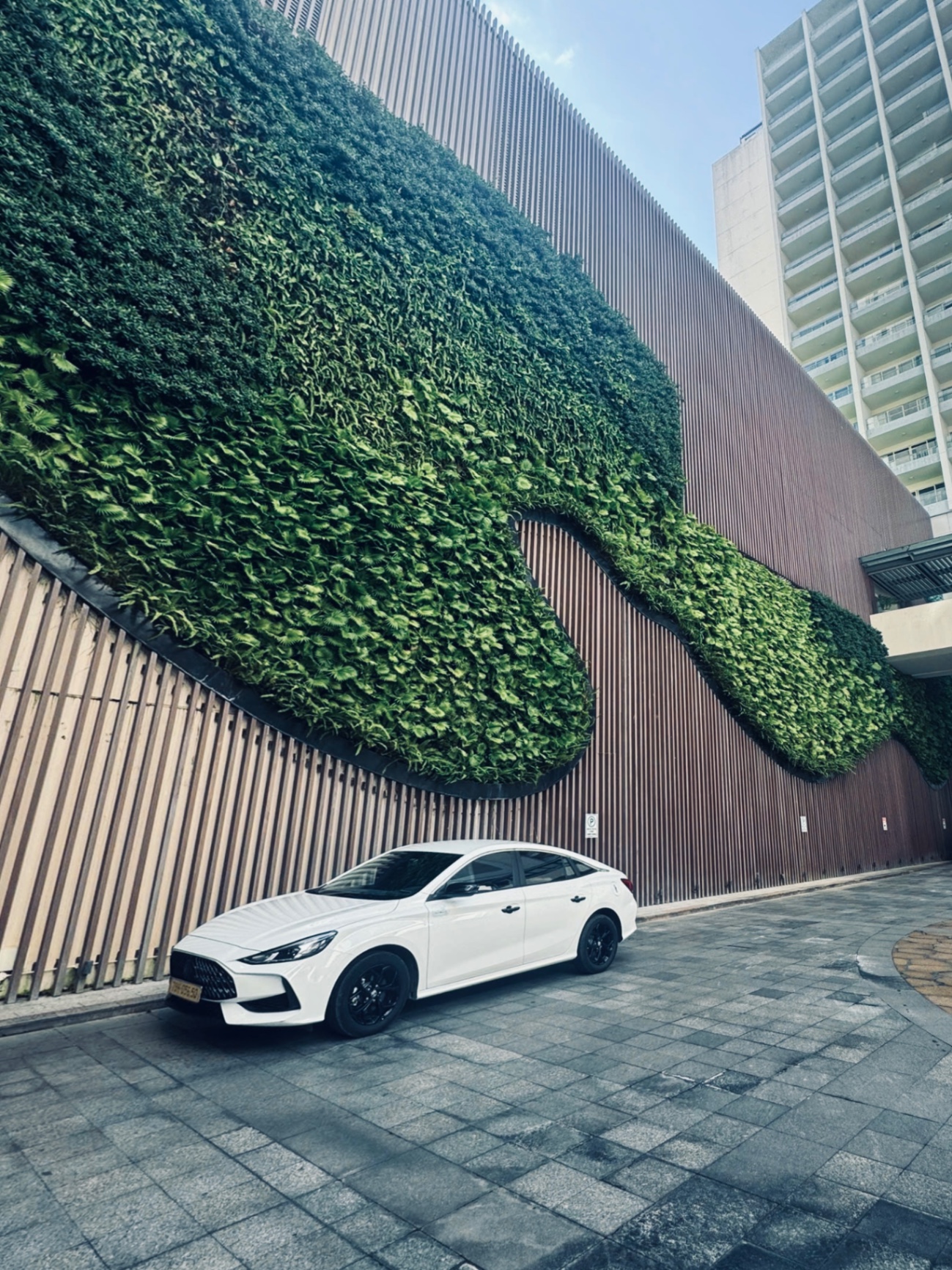 MG 5 STD 2024