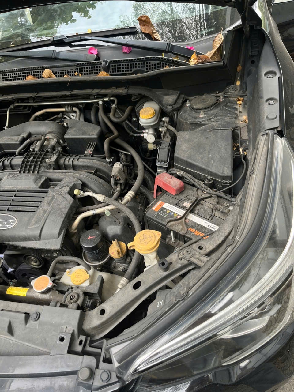 Subaru Forester ES2019 - Khoang động cơ 2