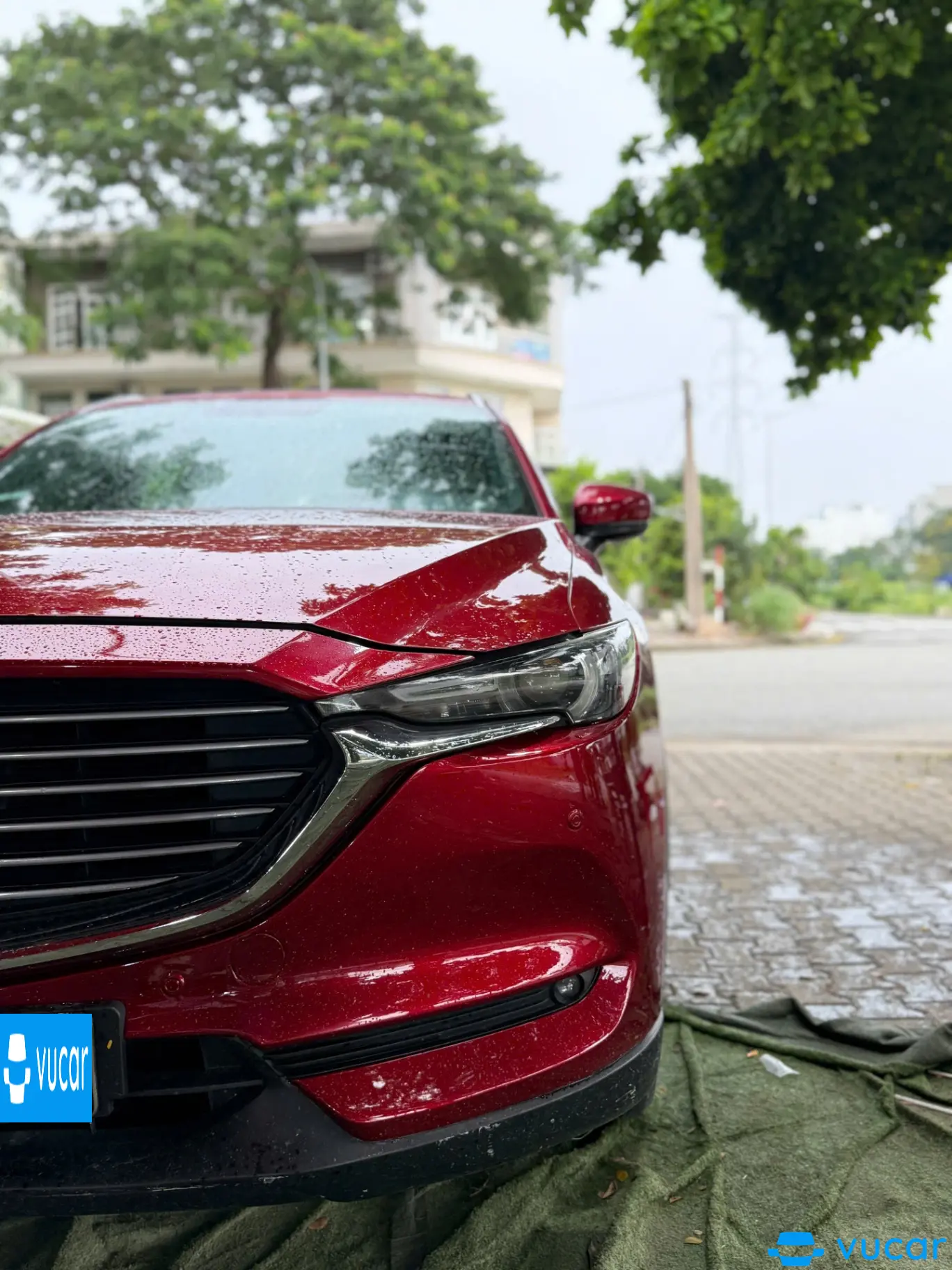 Mazda CX8 Luxury 2019 - Ngoại thất 11