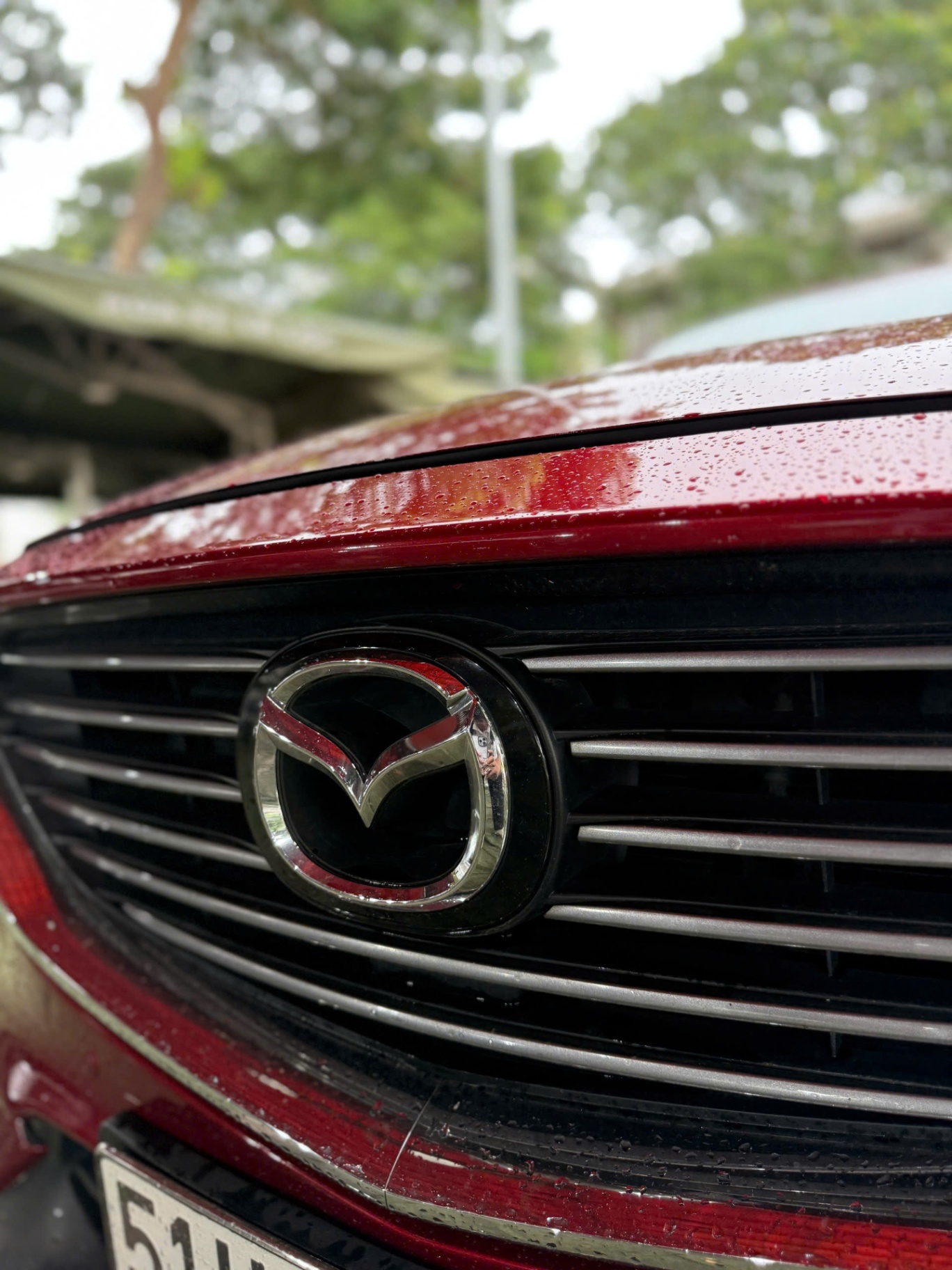 Mazda CX8 Luxury 2019 - Nội thất 9