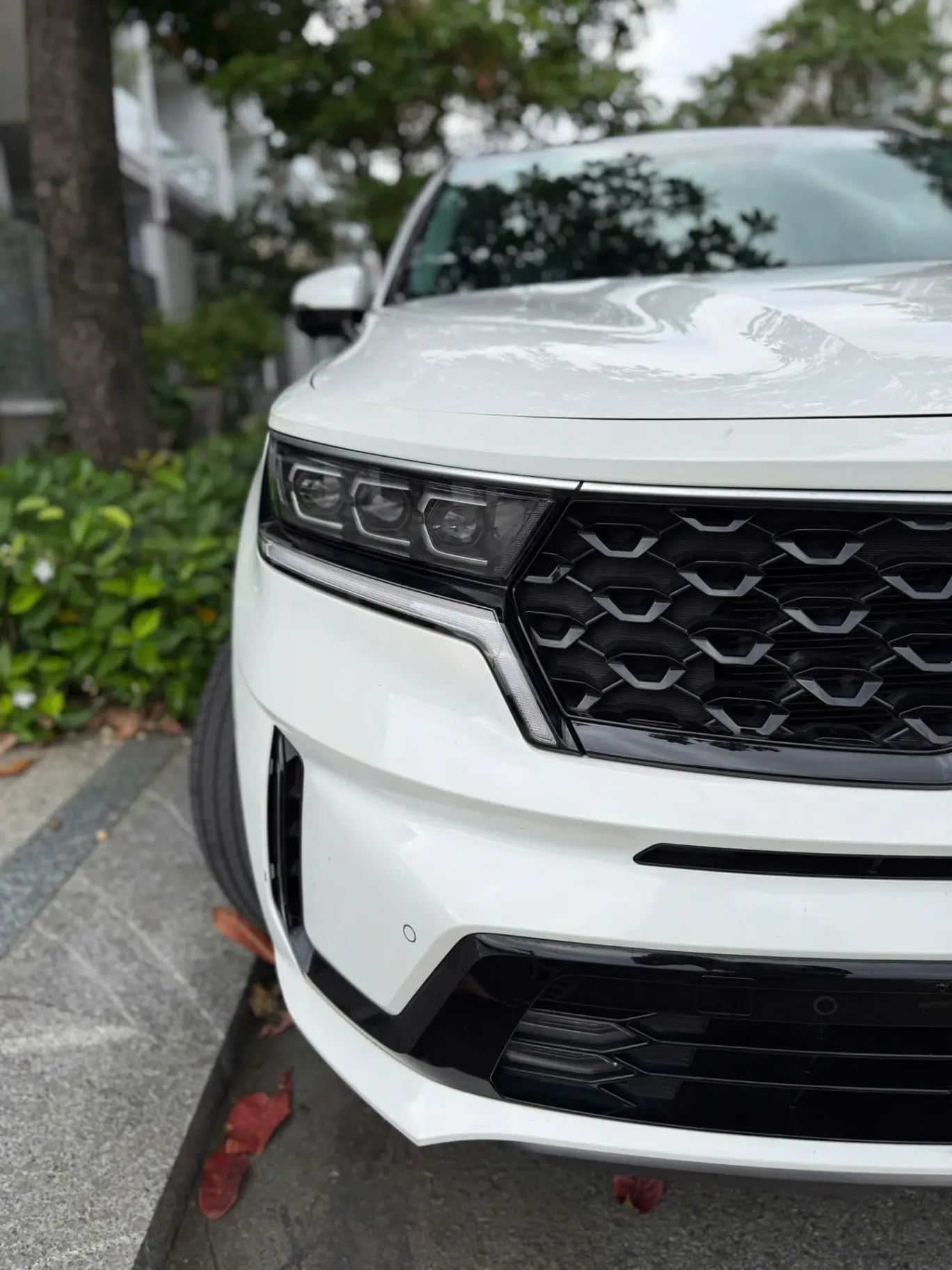 Kia Sorento Signature 2.2 AT AWD 7S 2021 - Ngoại thất 7