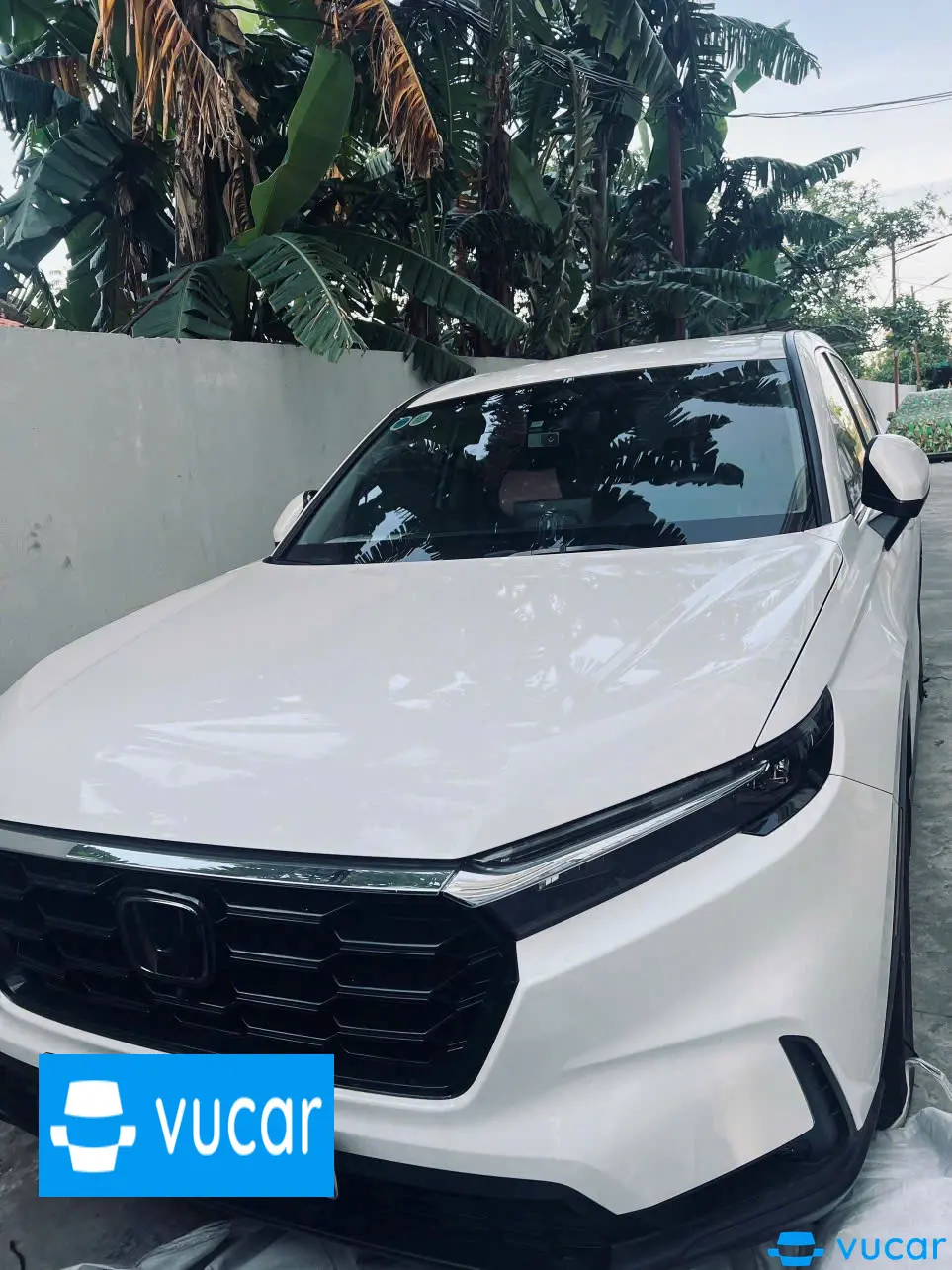 Honda CRV Vin 2023