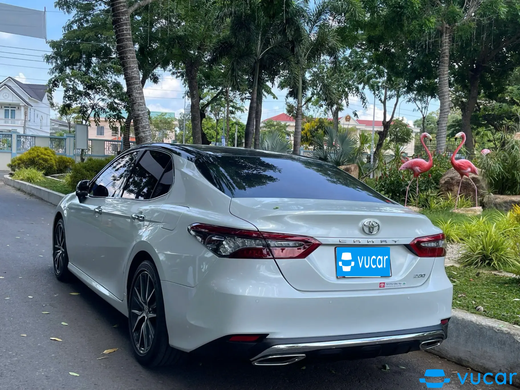 Toyota Camry 2.0Q 2023 - Ngoại thất 4