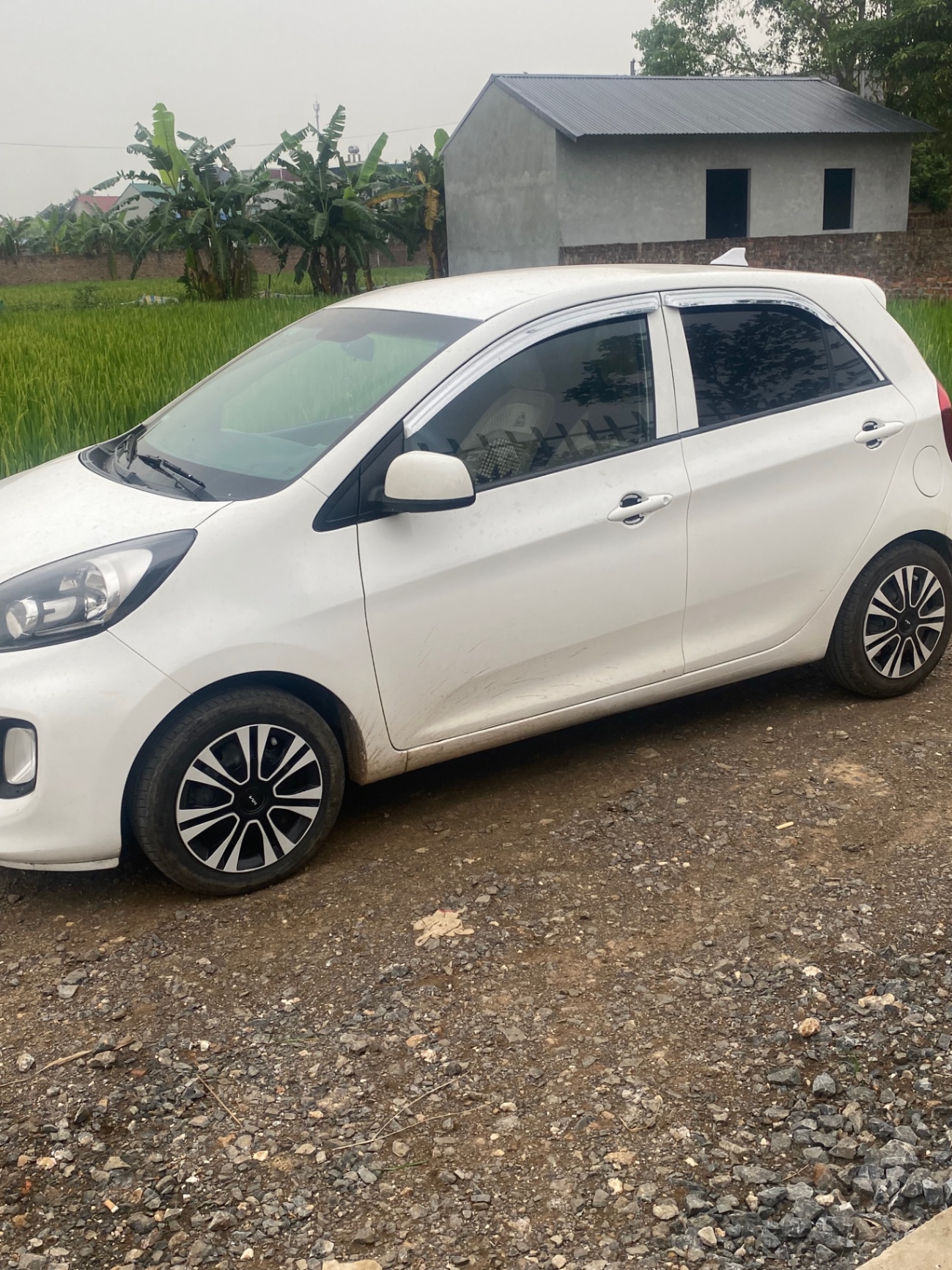Kia Morning MT 2015