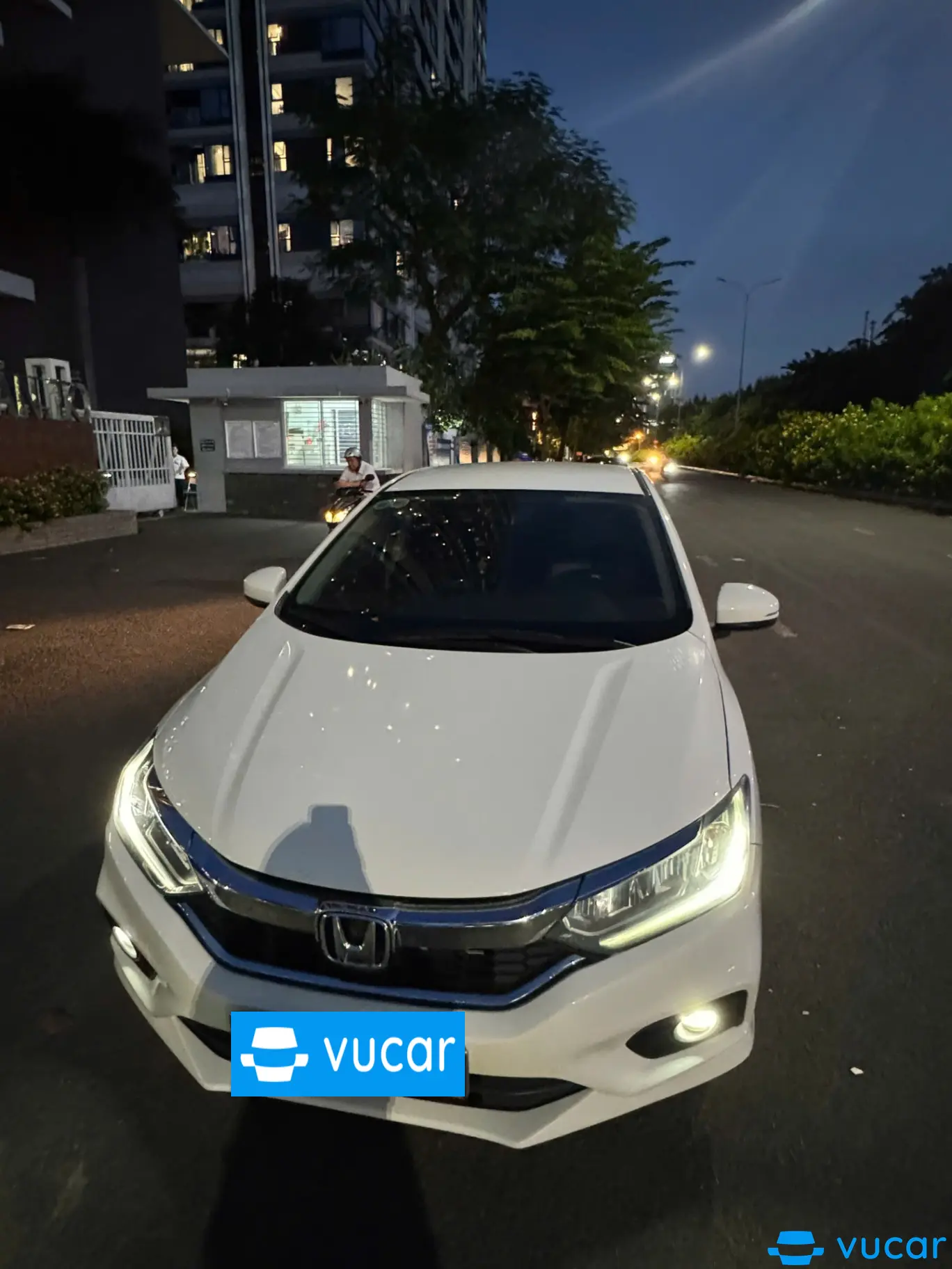 Honda City 1.5TOP 2019