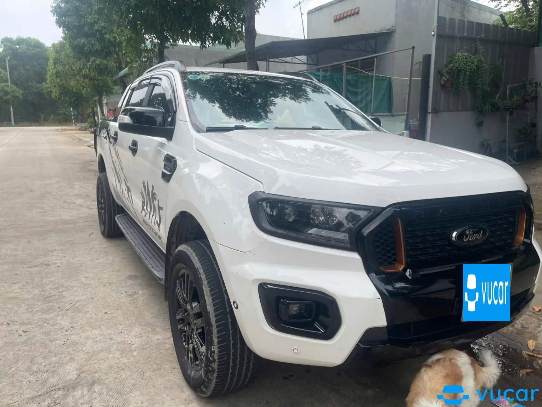 Ford Ranger Wildtrak 2.0L 4x4 AT 2020 - Ngoại thất 1