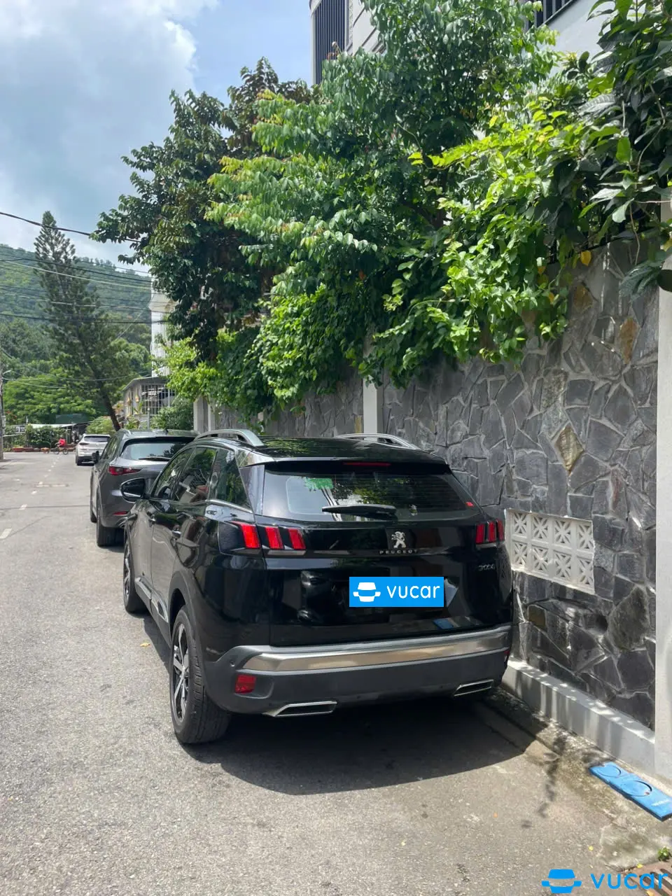 Peugeot 3008 1.6 AT 2019 - Ngoại thất 4