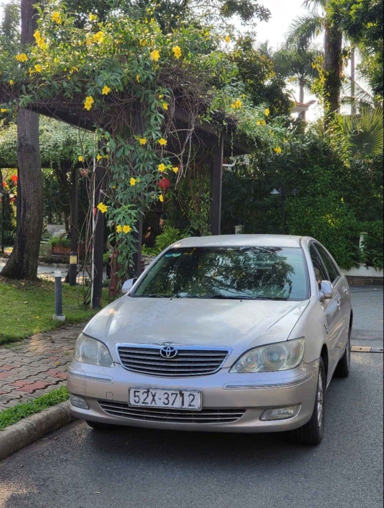 Toyota Camry 3.0V 2004