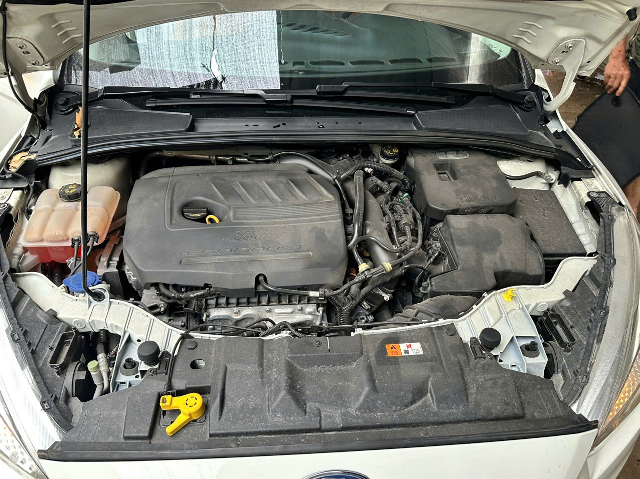 Ford Focus Trend 1.5L 2019 - Khoang động cơ 1