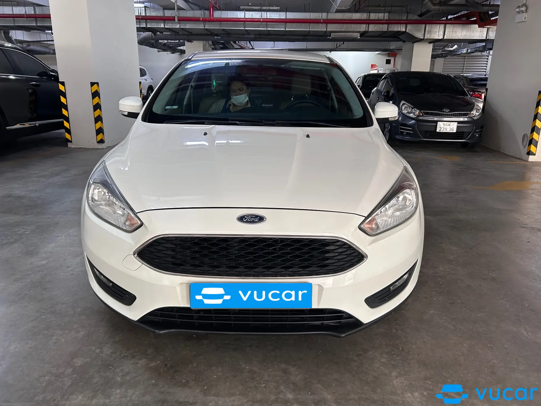 Ford Focus Trend 1.5L 2017