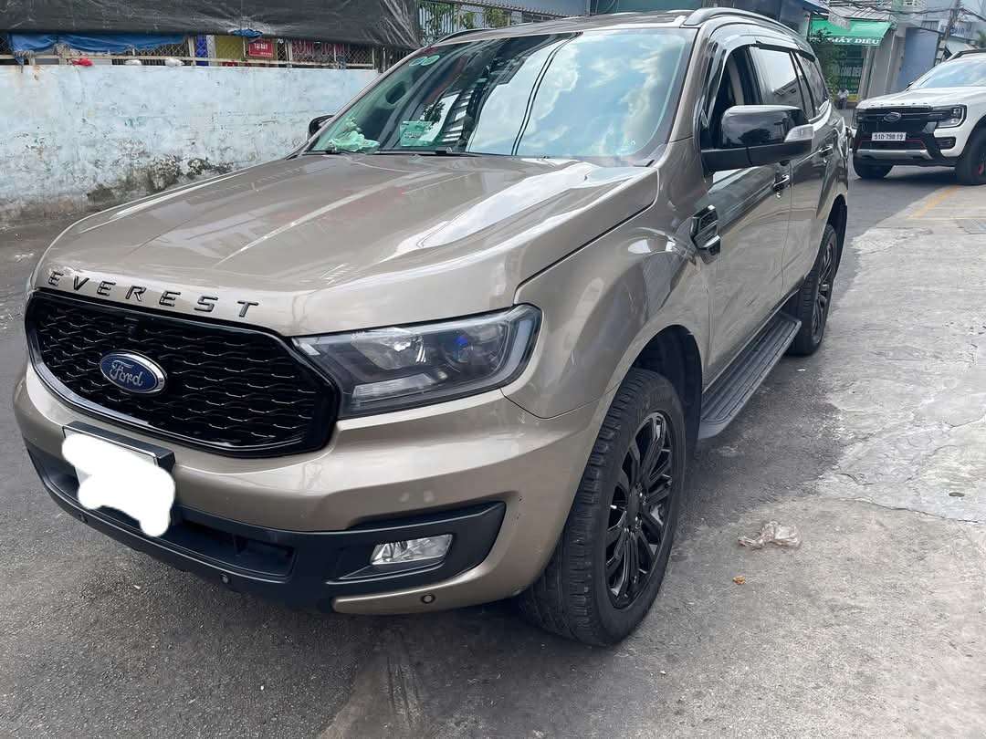 Ford Everest Ambiente 2.0 4x2 AT 2019 - Ngoại thất 2