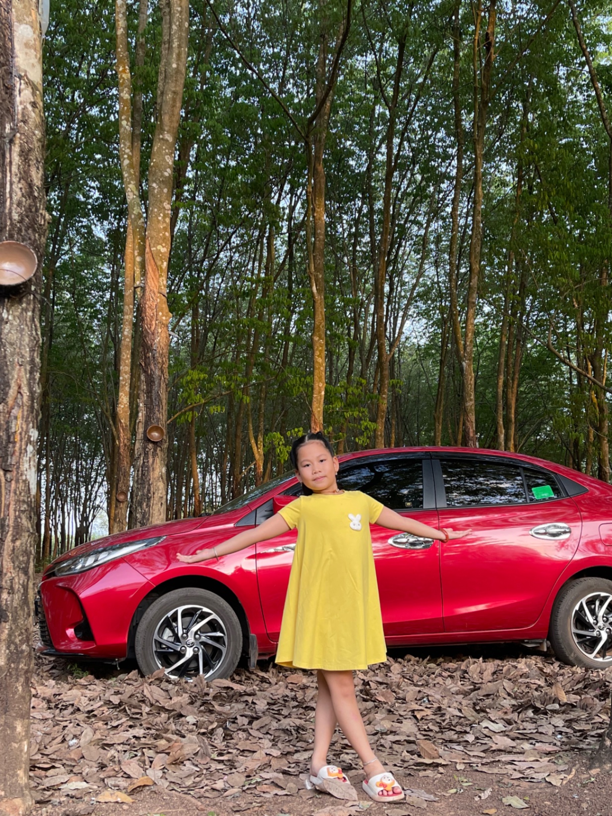 Toyota Vios G 1.5 CVT 2021