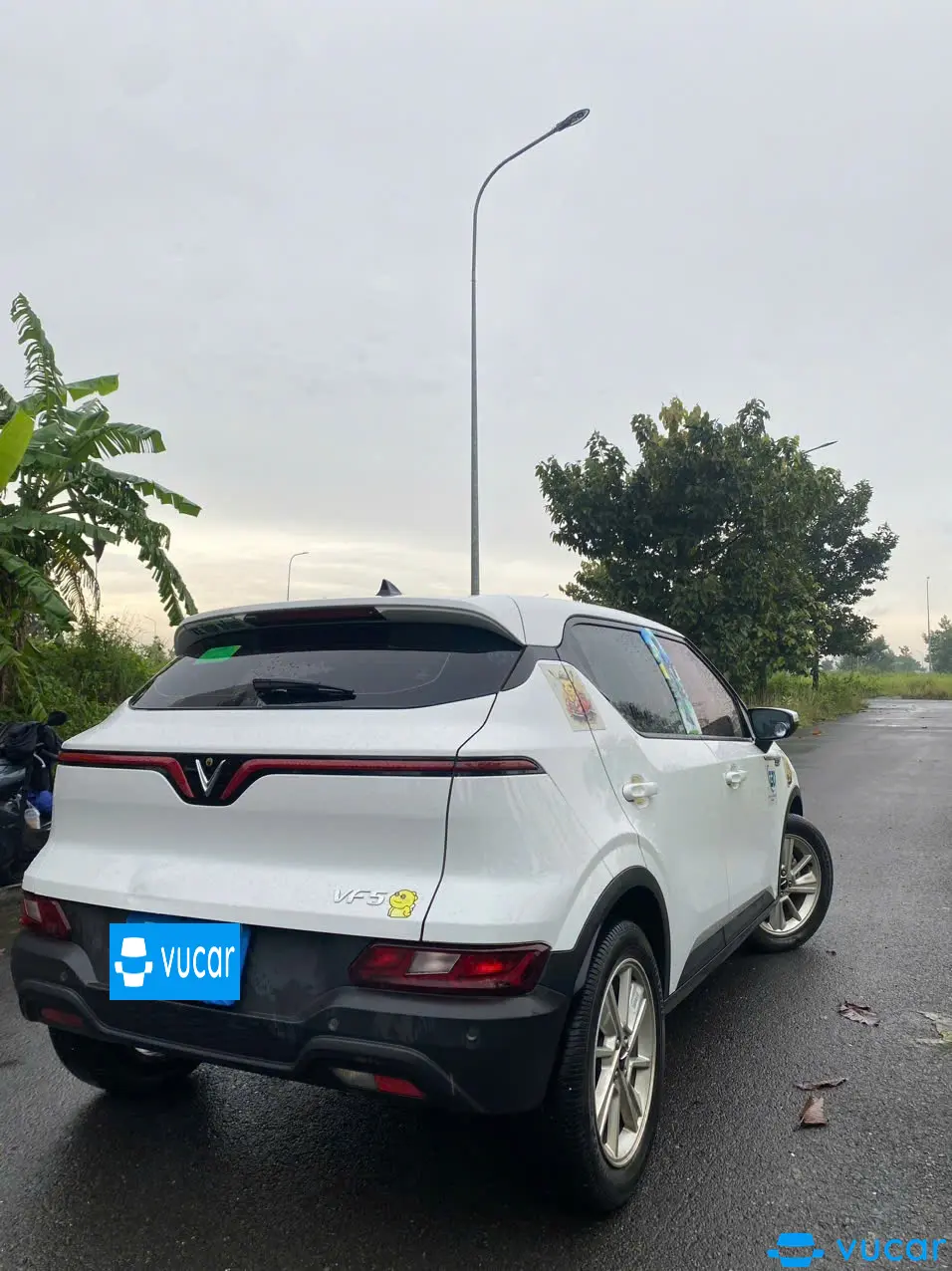 Vinfast Vf5 Plus 2024 - Ngoại thất 10
