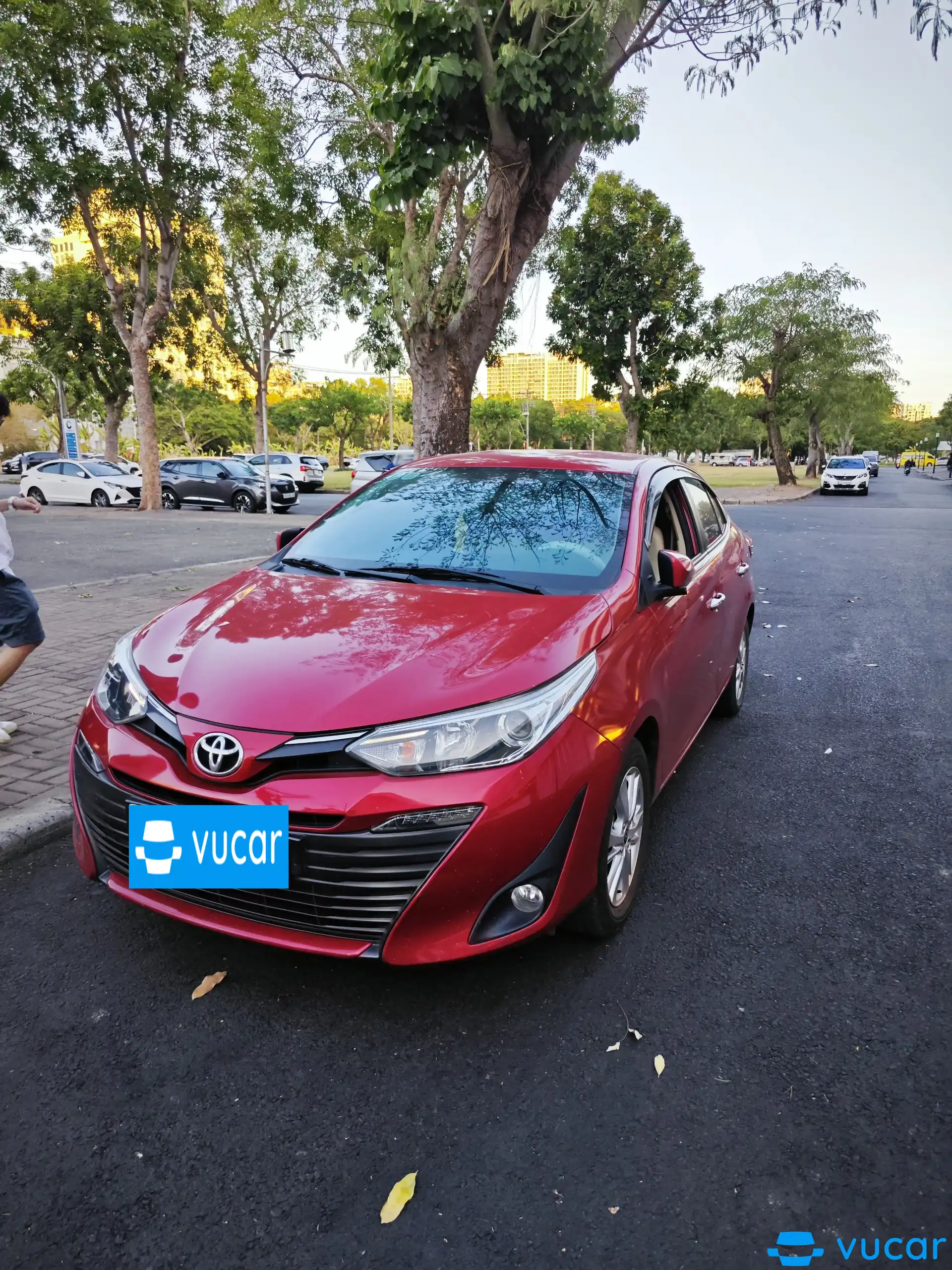 Toyota Vios 1.5G 2019