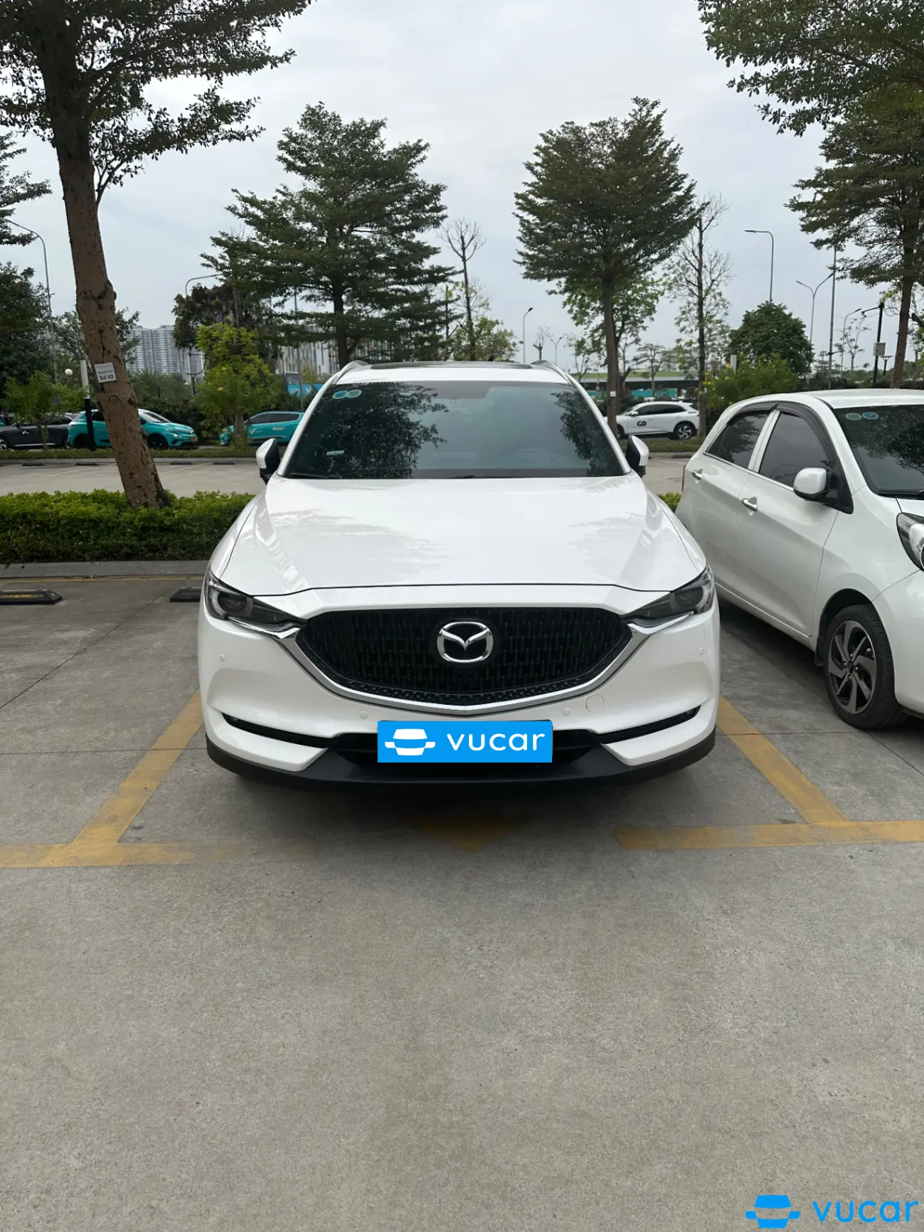Mazda Cx8 Luxury 2023