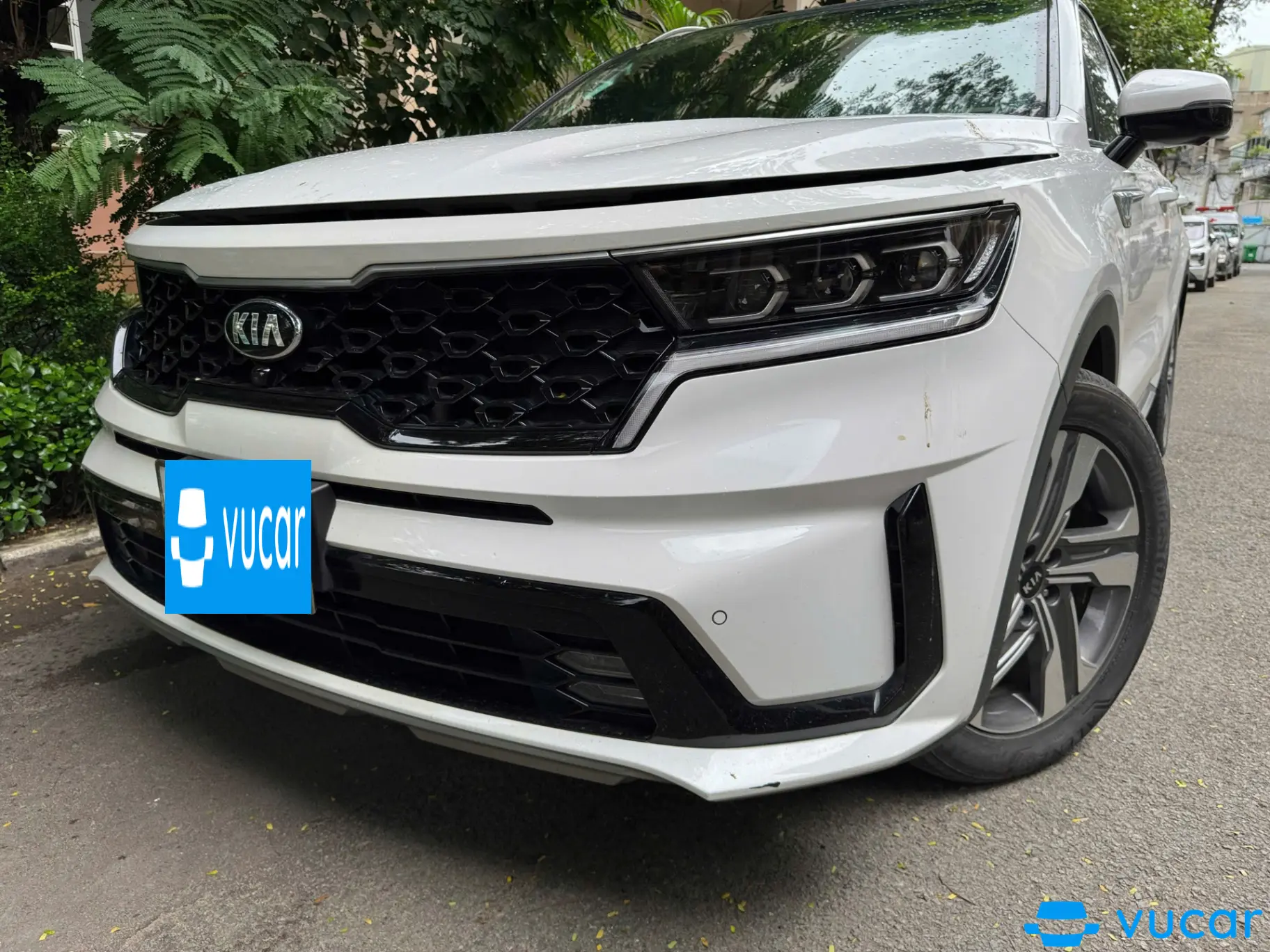 Kia Sorento 2.2 DAT Premium 2020 - Ngoại thất 6