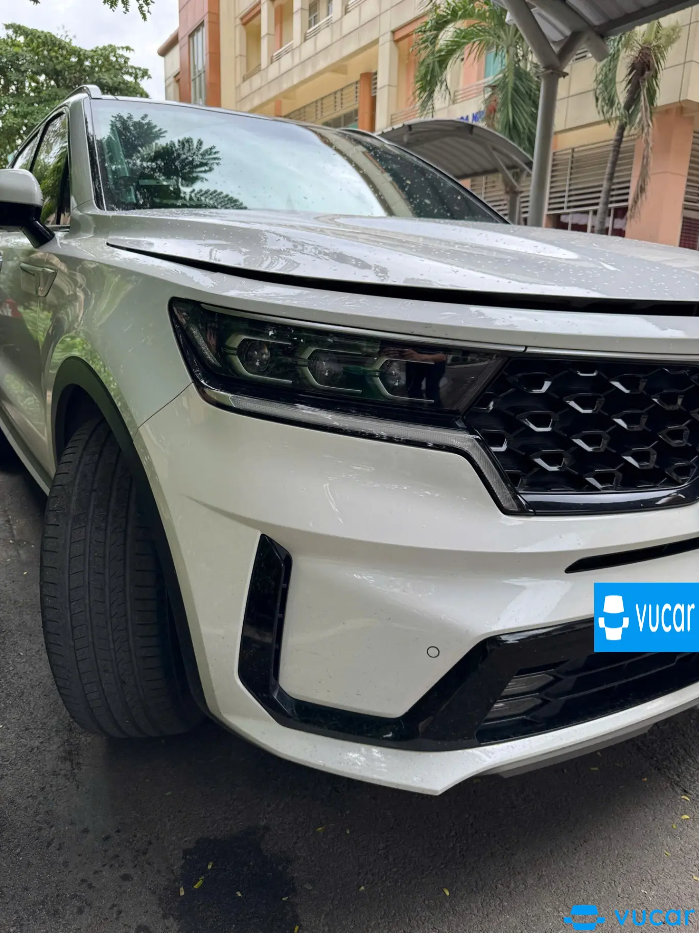 Kia Sorento 2.2 DAT Premium 2020 - Ngoại thất 7