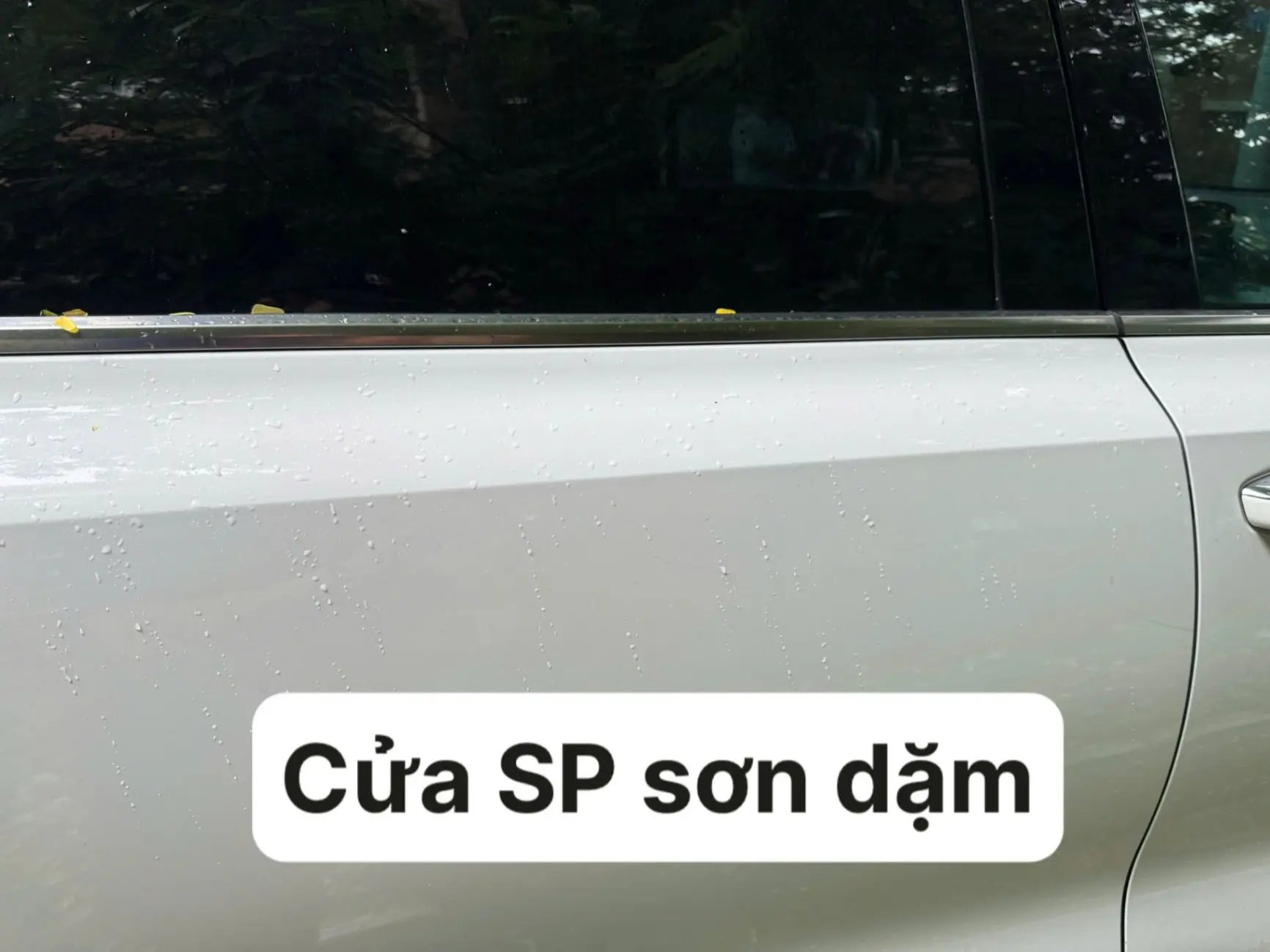 Kia Sorento 2.2 DAT Premium 2020 - Ngoại thất 8