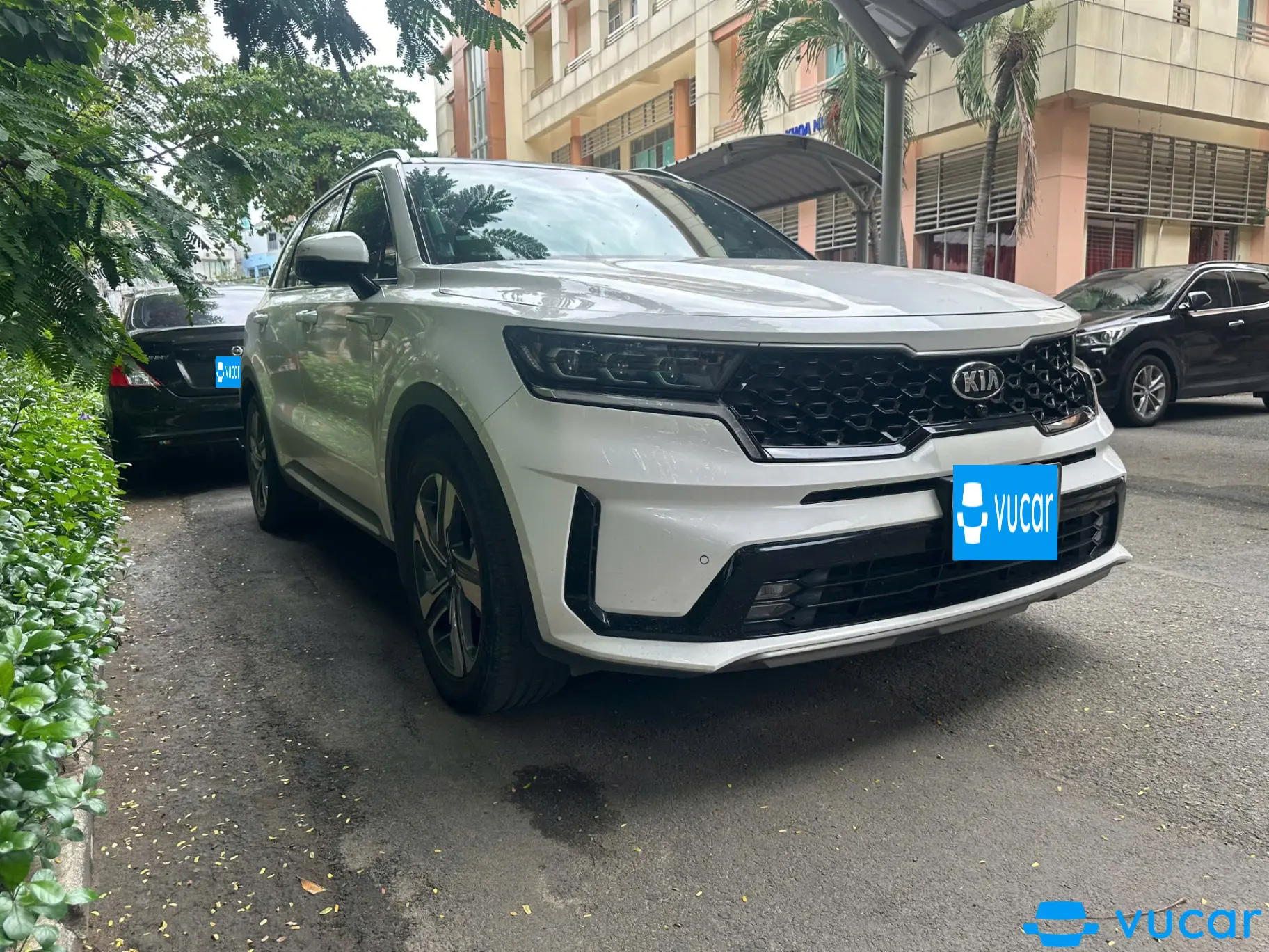 Kia Sorento 2.2 DAT Premium 2020 - Ngoại thất 16
