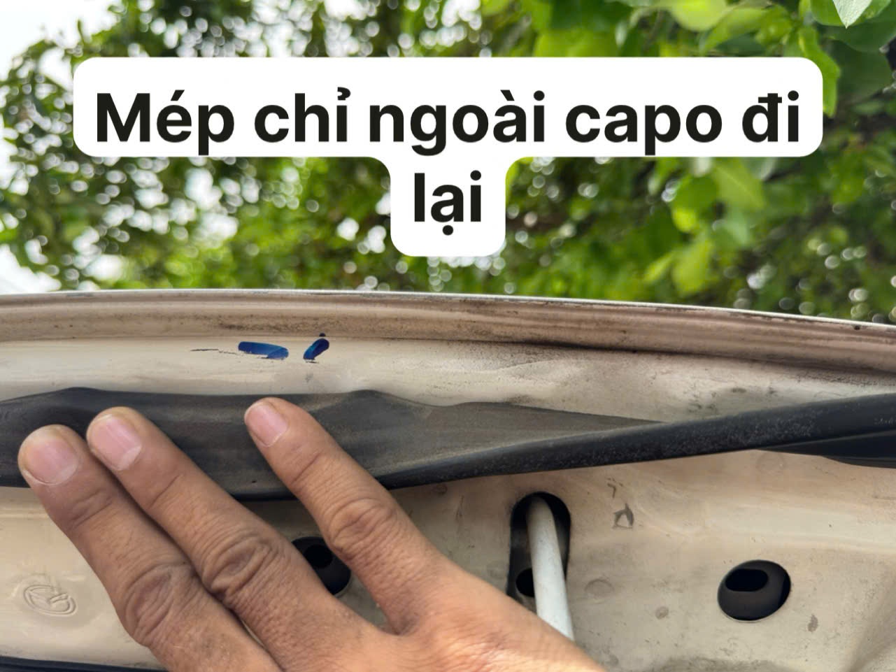 Mazda 2 1.5 AT 2022 - Khoang động cơ 1