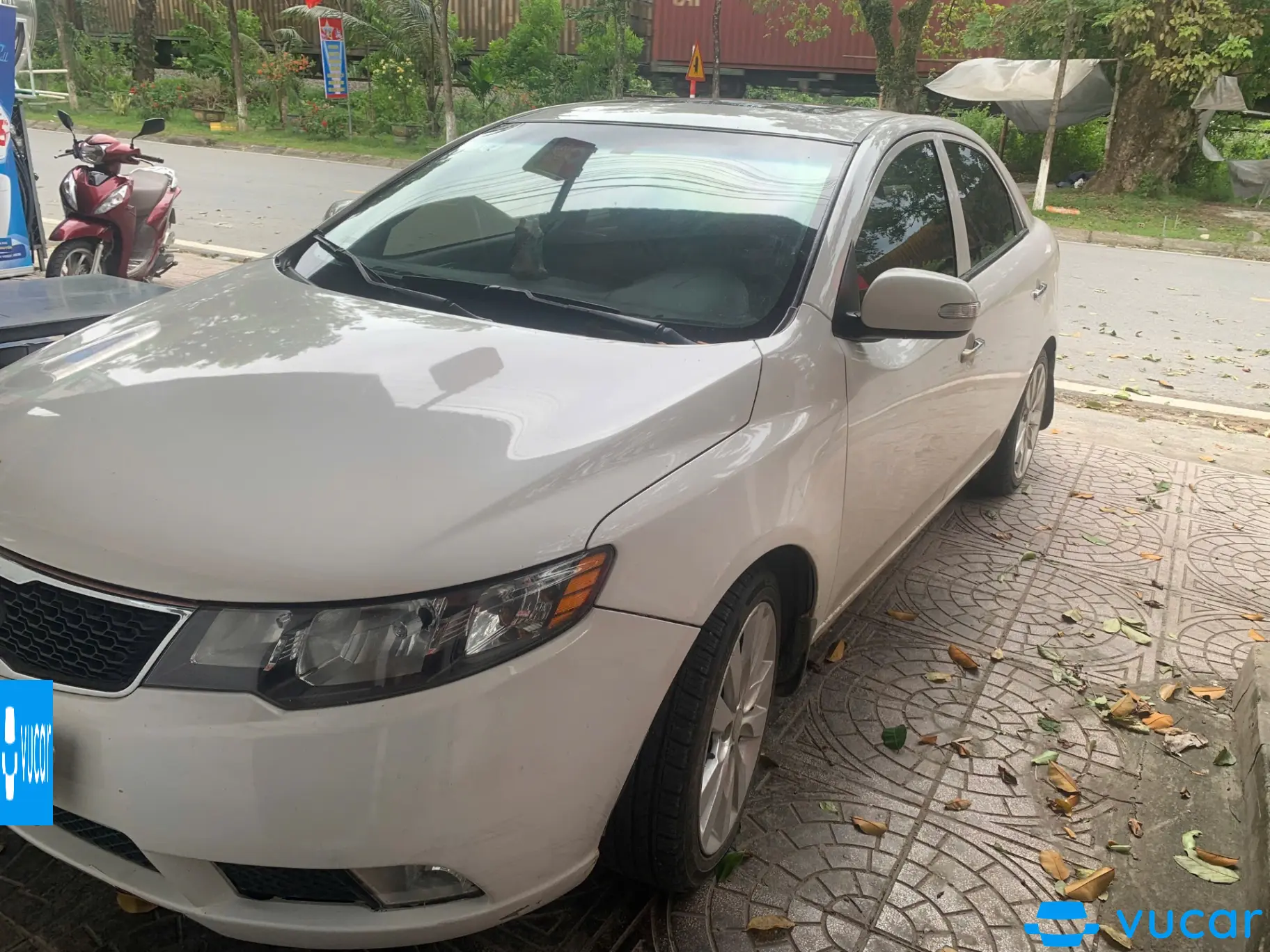 Kia Forte 1.6 MT 2010 - Ngoại thất 6