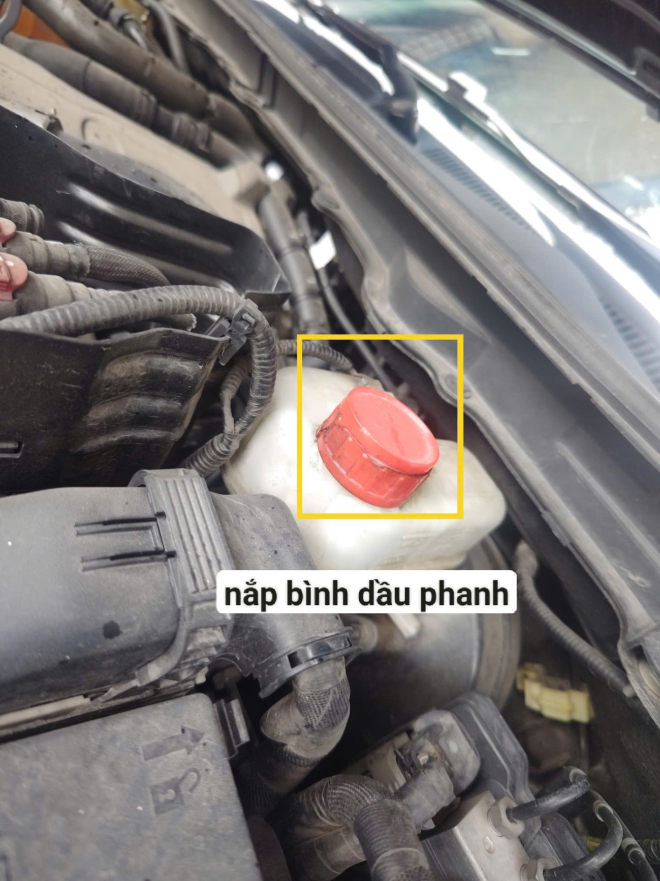 Ford Everest Titanium 2.0L 4x2 AT 2021 - Khoang động cơ 2