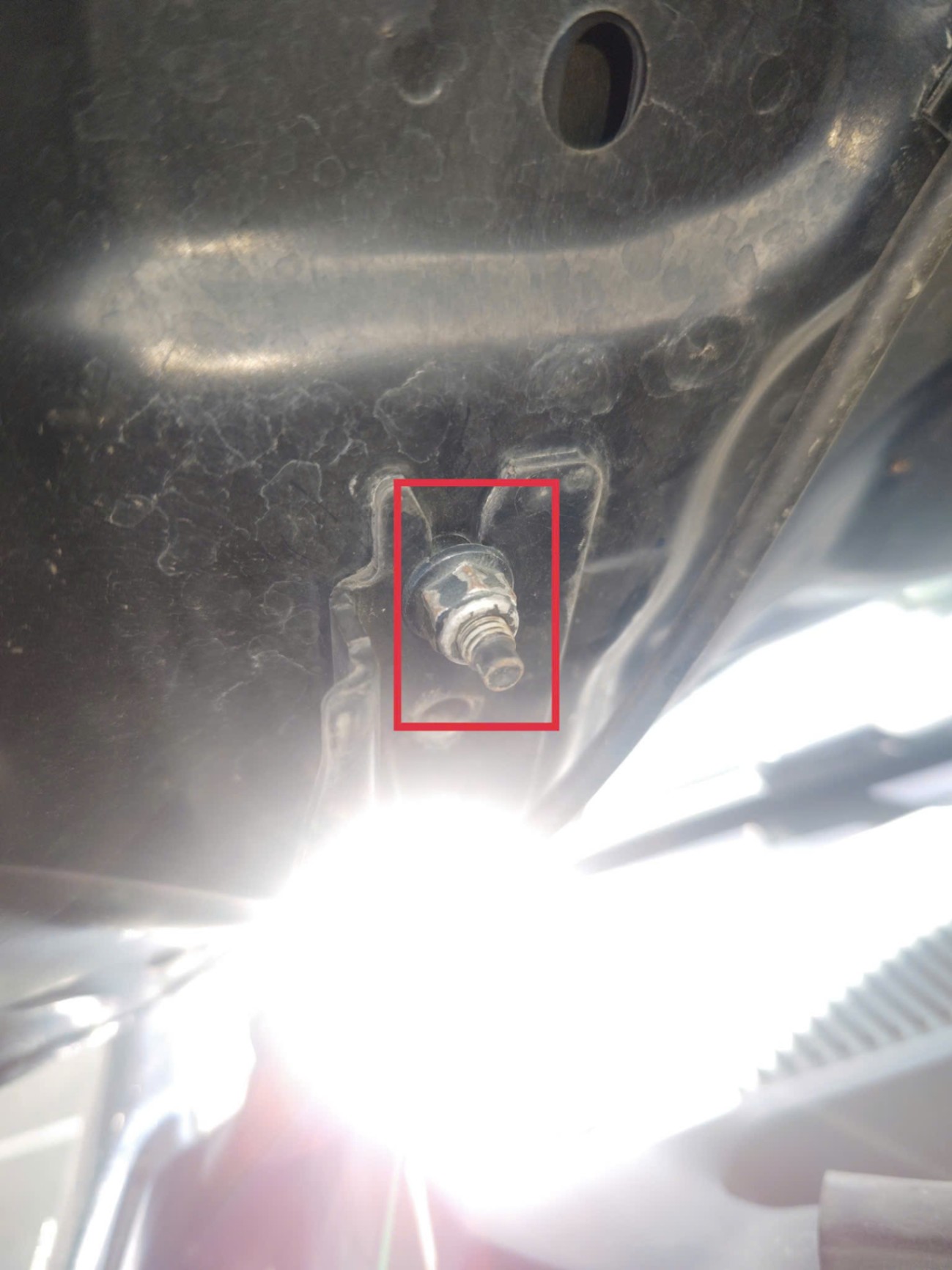 Ford Everest Titanium 2.0L 4x2 AT 2021 - Khoang động cơ 3