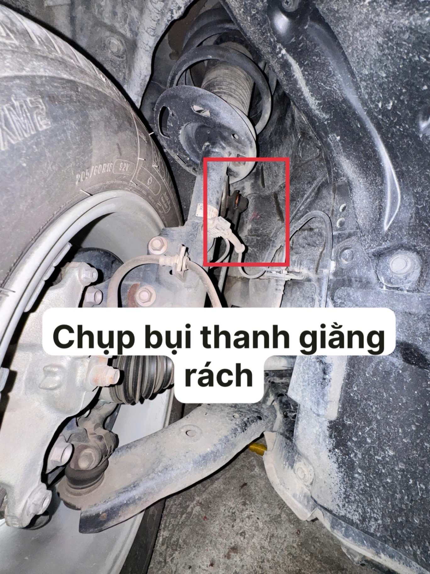 Mazda 3 1.5L Luxury 2019 - Khoang động cơ 1