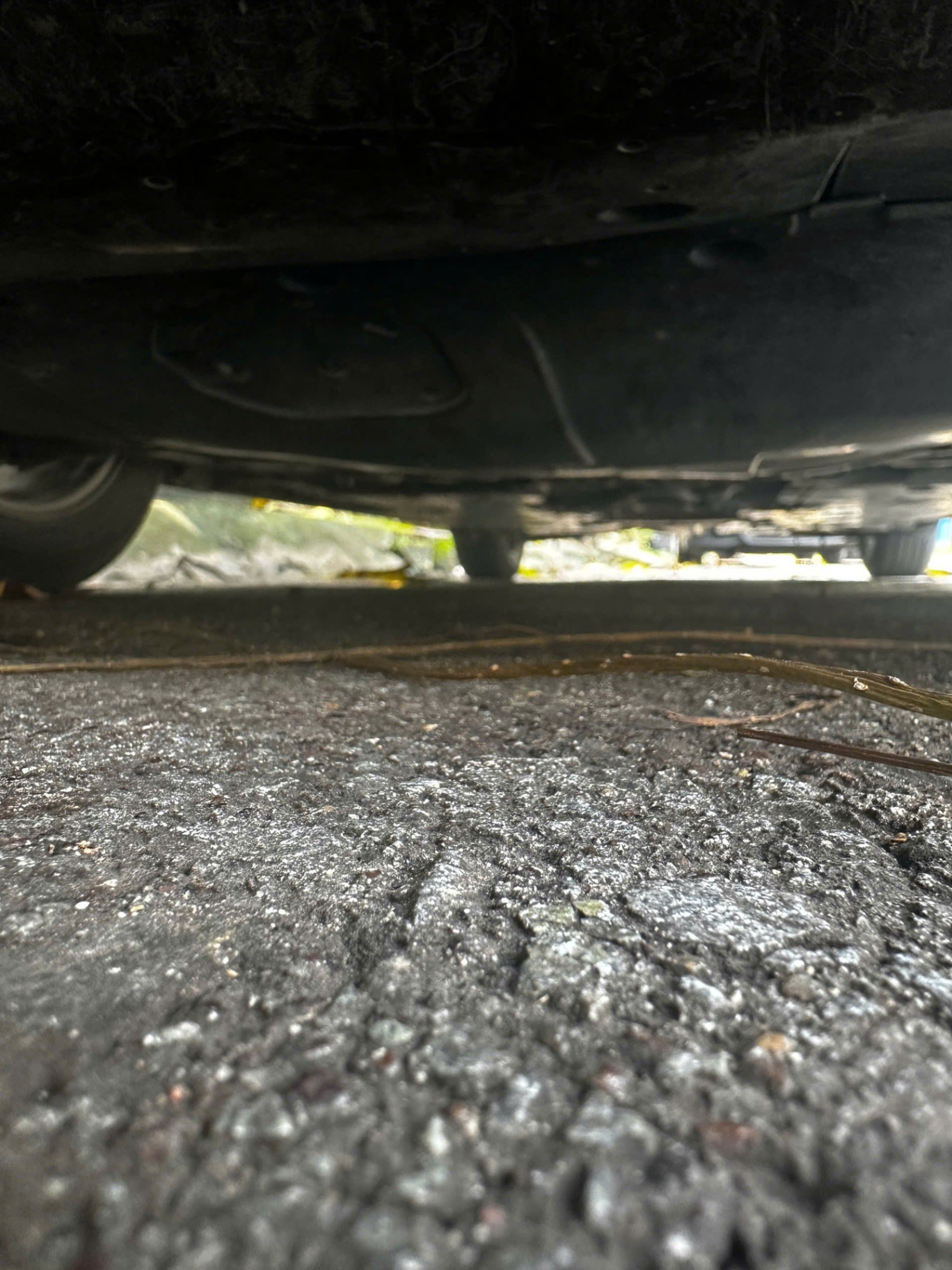 Mazda 3 1.5 AT 2018 - Gầm & khung xe 2