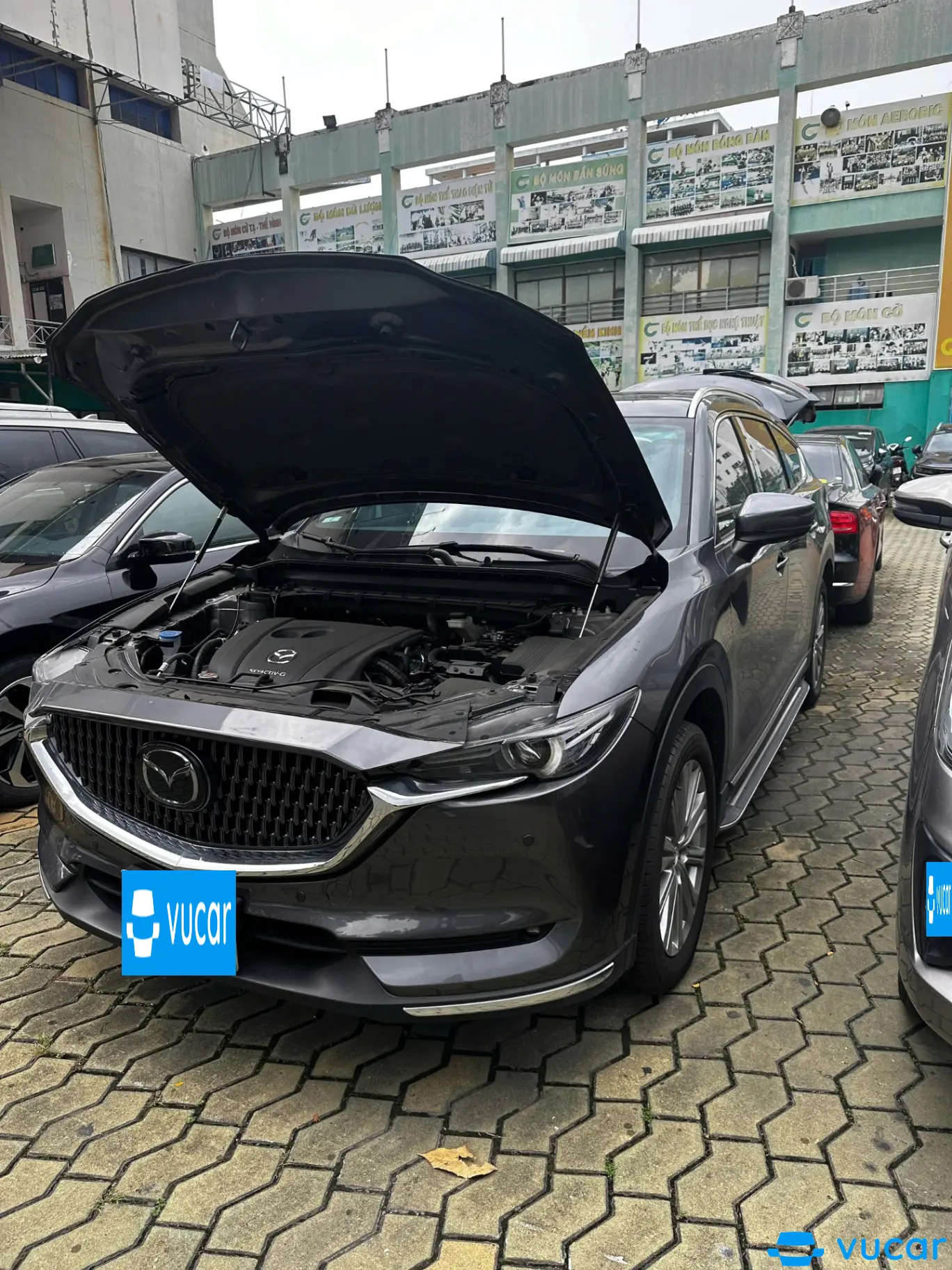 Mazda Cx8 Premium 2023
