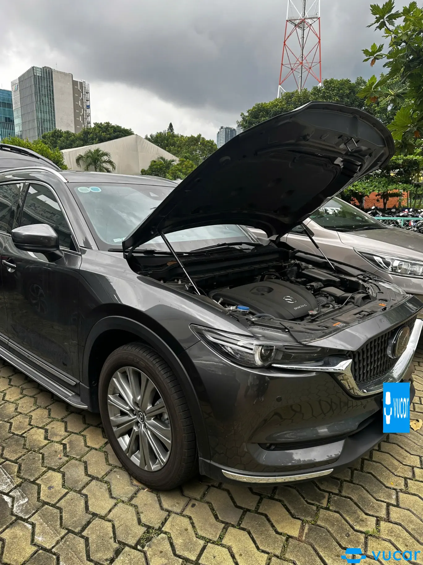 Mazda Cx8 Premium 2023 - Ngoại thất 2
