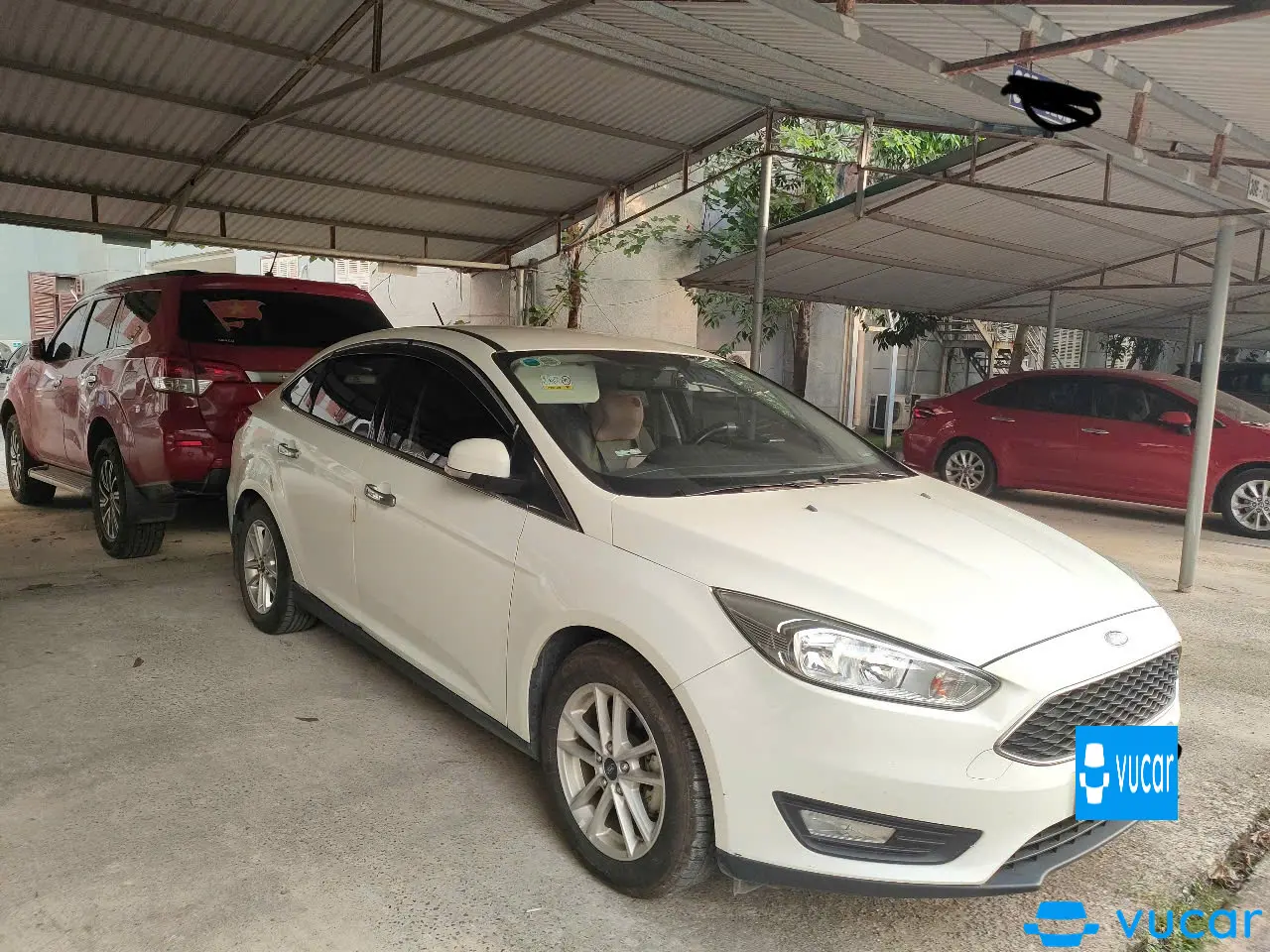 Ford Focus Trend 1.5L 2019 - Ngoại thất 1