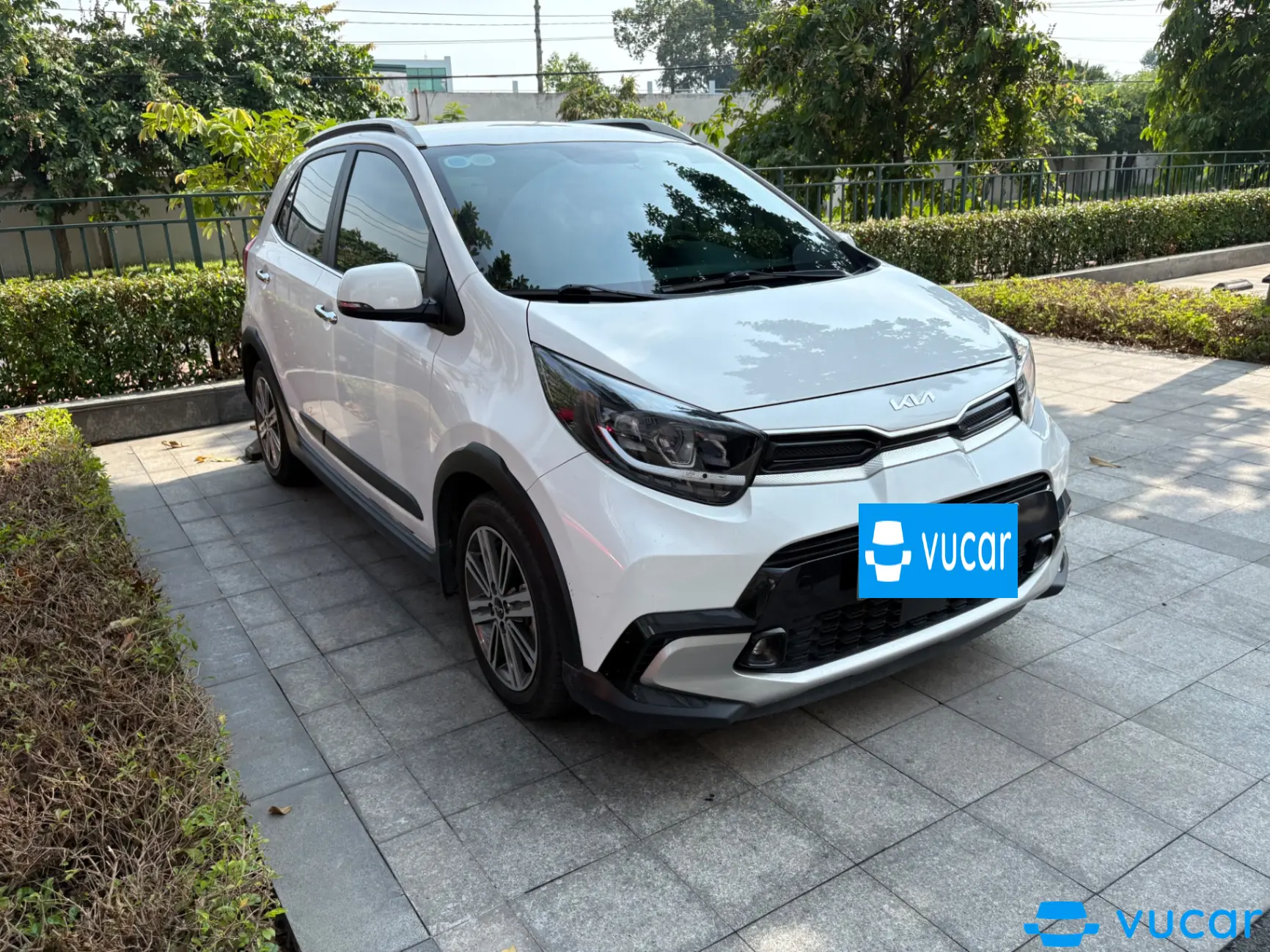 Kia Morning X-Line 2023
