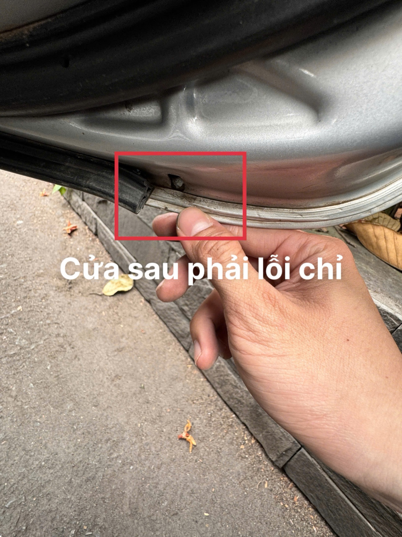 Toyota Wish 2.0 AT 2009 - Nội thất 3