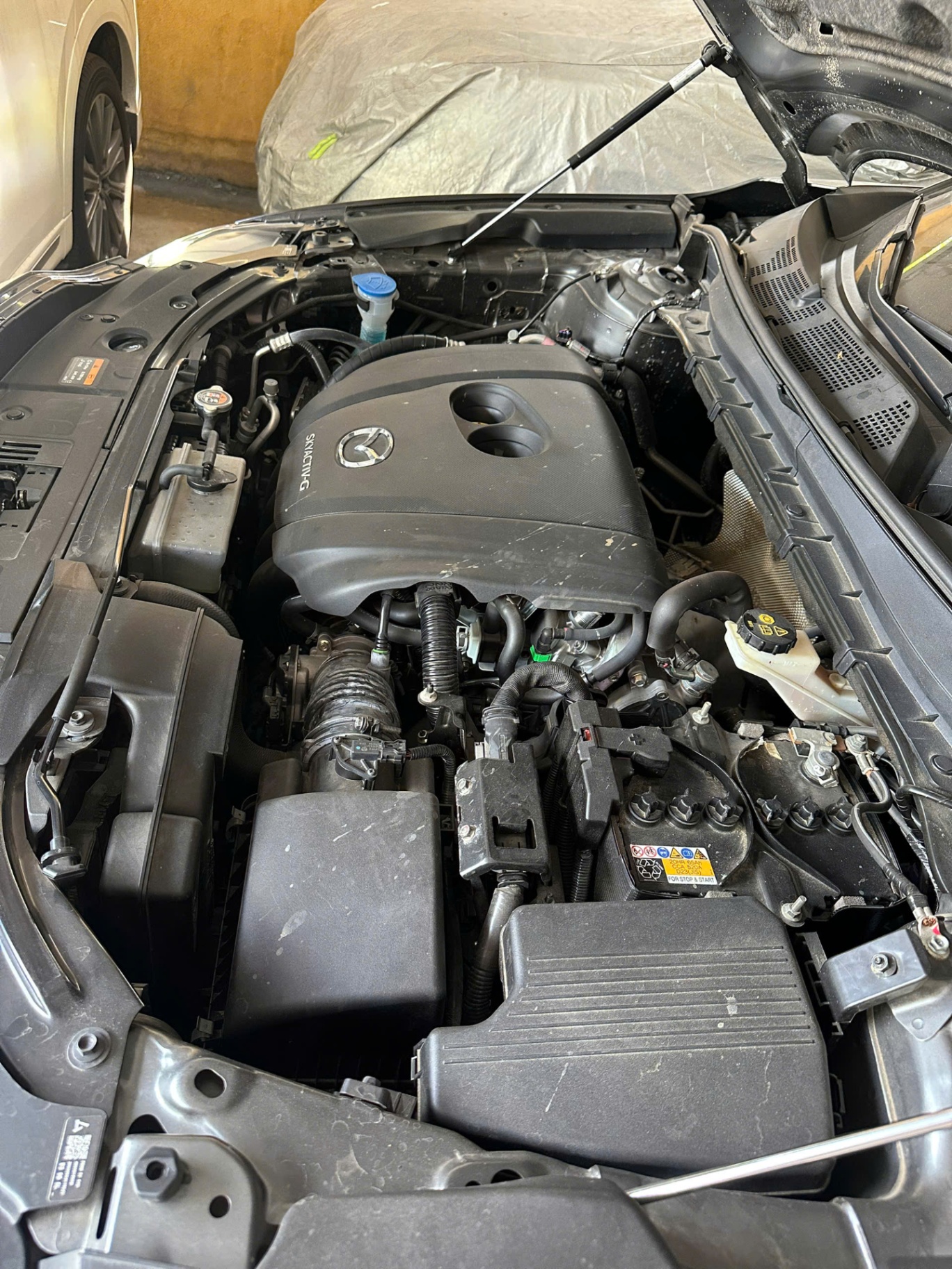 Mazda Cx8 Premium 2023 - Khoang động cơ 1