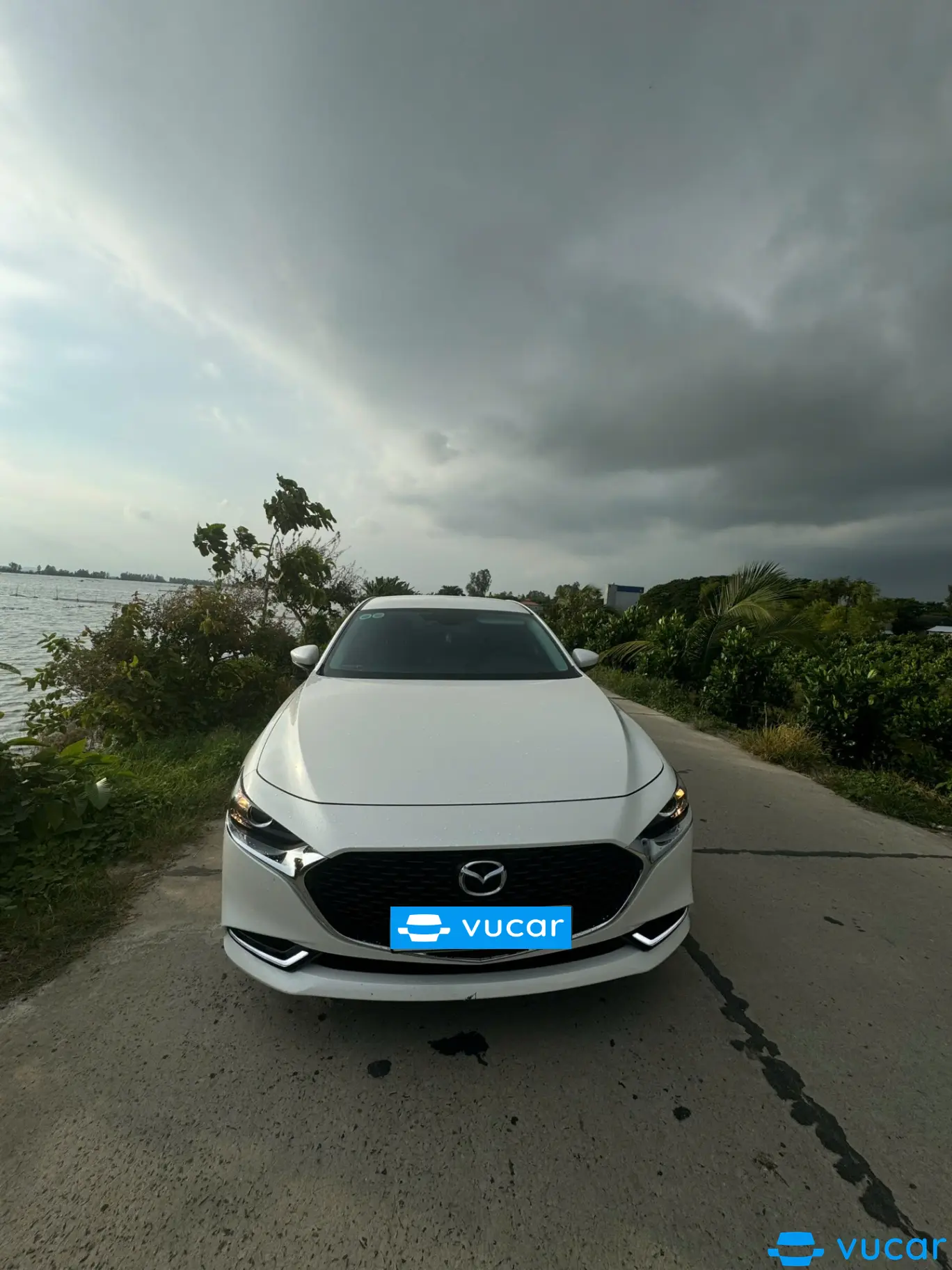Mazda 3 1.5L Luxury 2024 - Ngoại thất 2