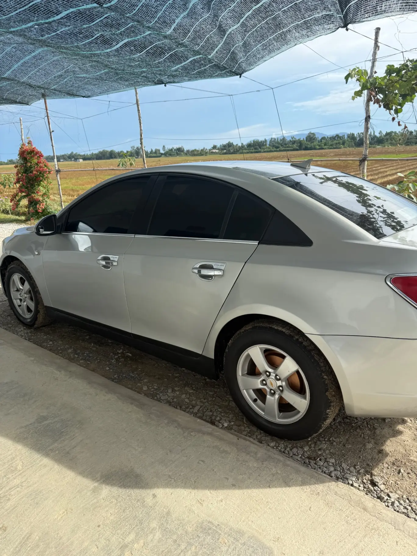 Chevrolet Cruze LS 1.6 MT 2011 - Ngoại thất 5
