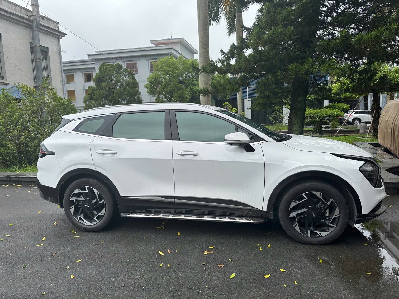 Kia Sportage Signature 2.0G 2023