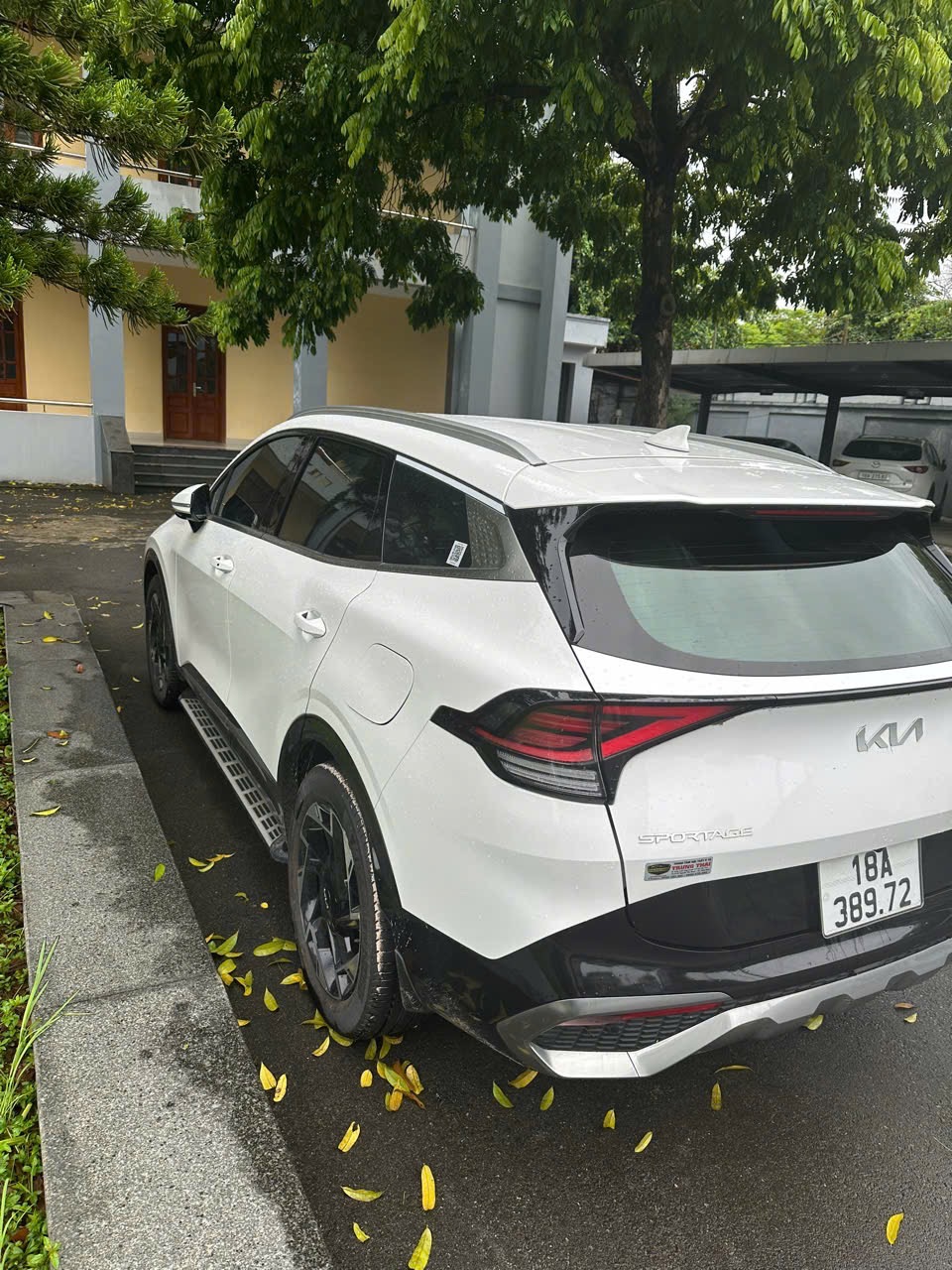 Kia Sportage Signature 2.0G 2023 - Ngoại thất 3